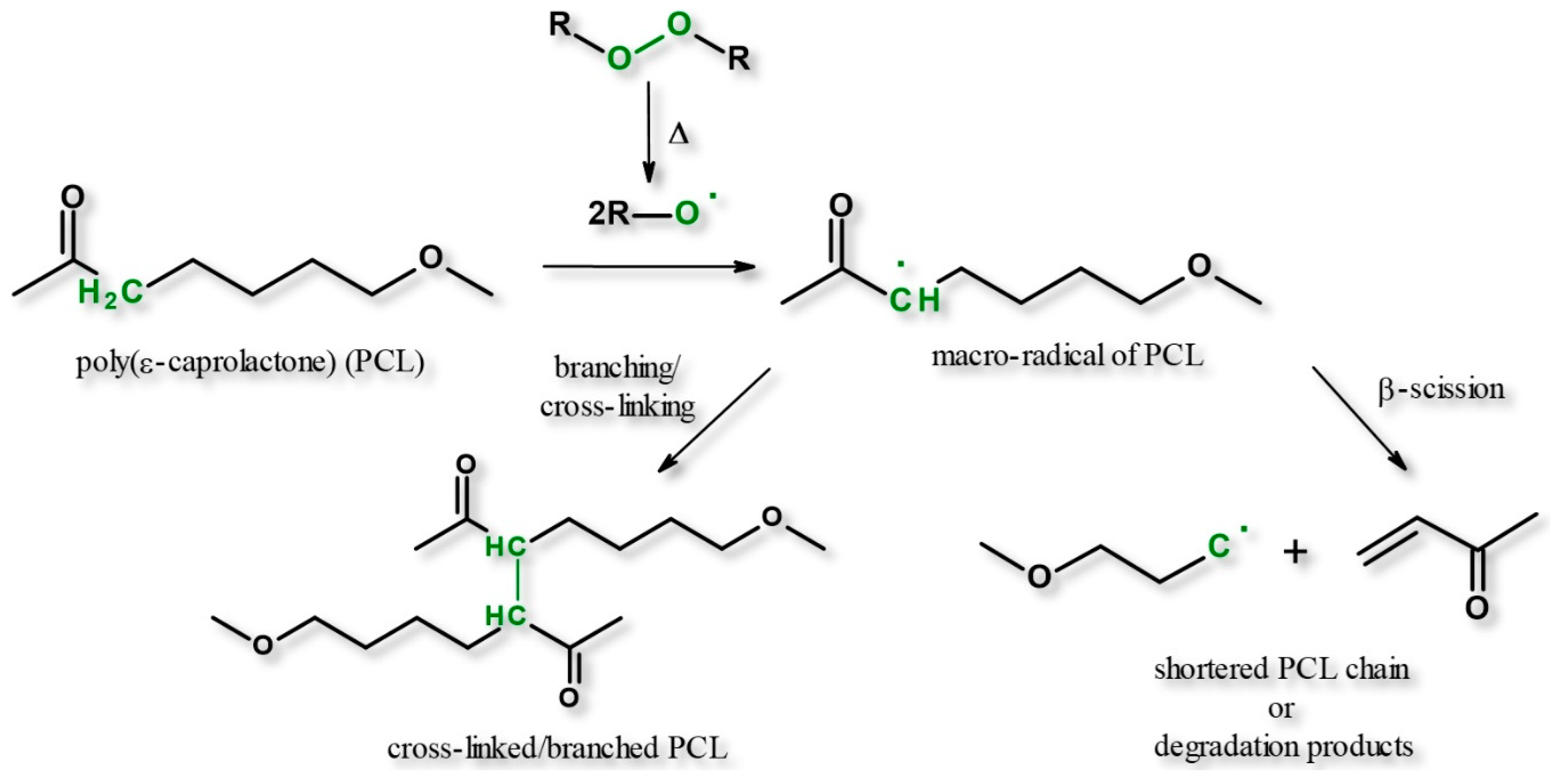 Polymers 11 01101 sch002