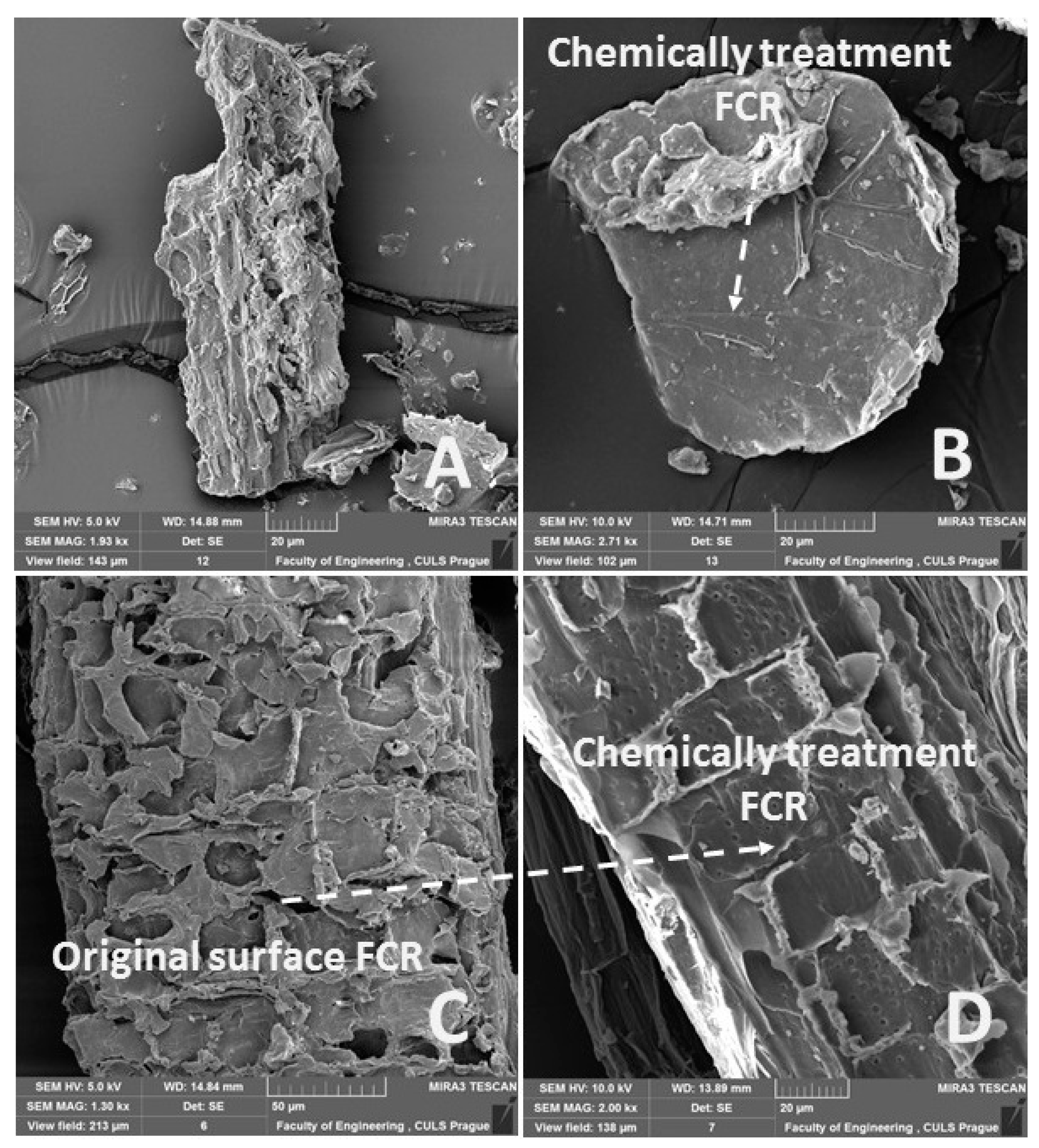 Polymers 11 01106 g011