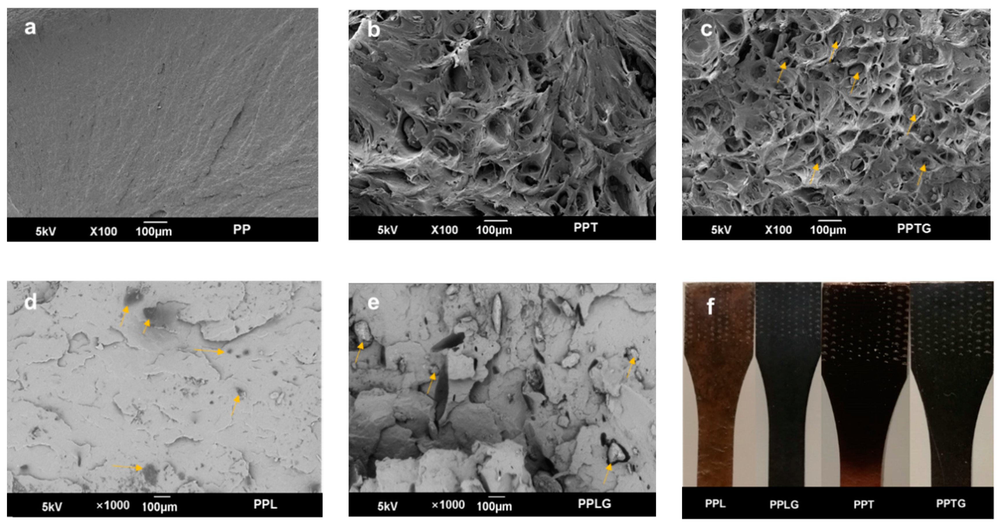 Polymers 11 01108 g003