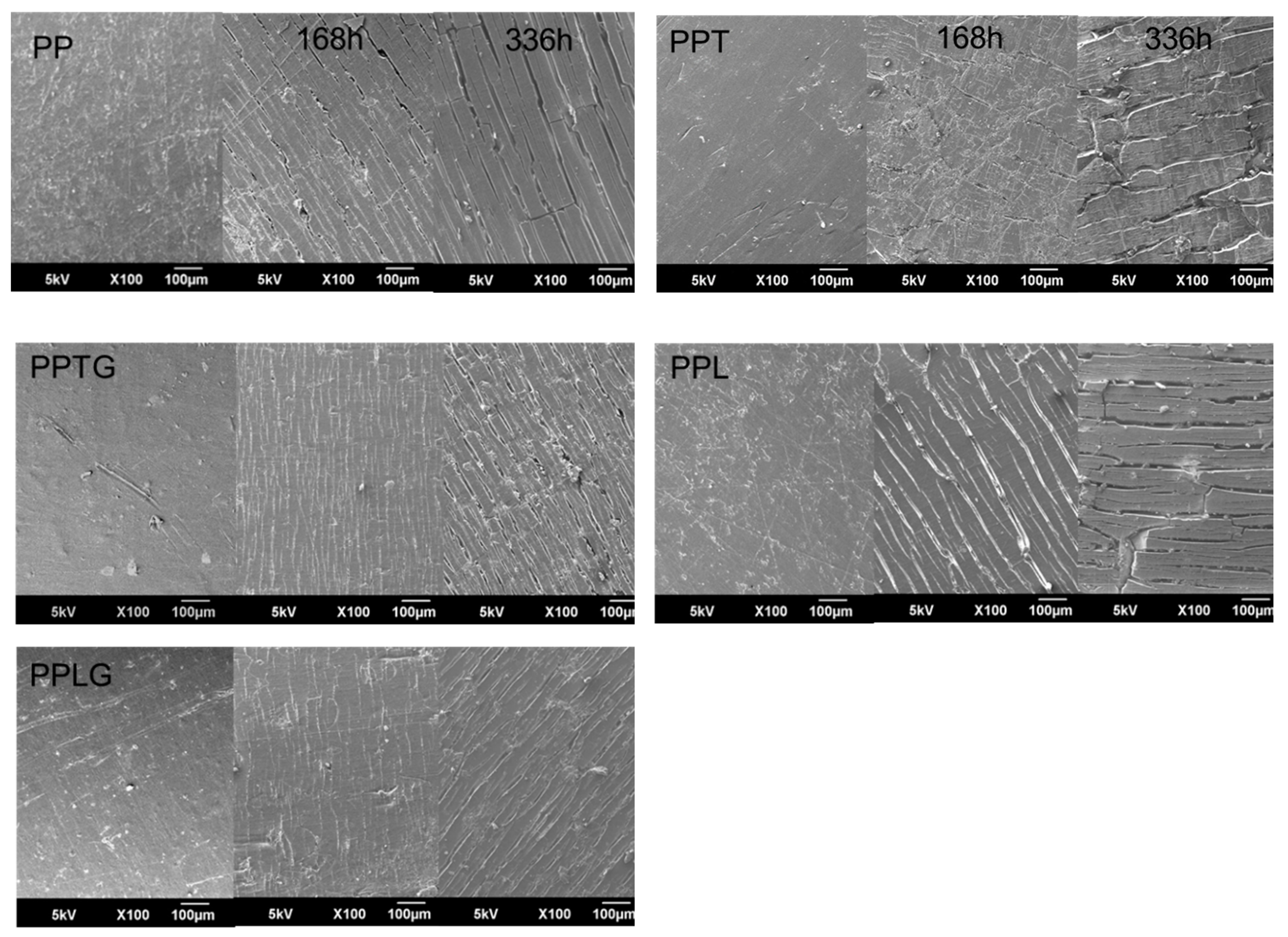 Polymers 11 01108 g007