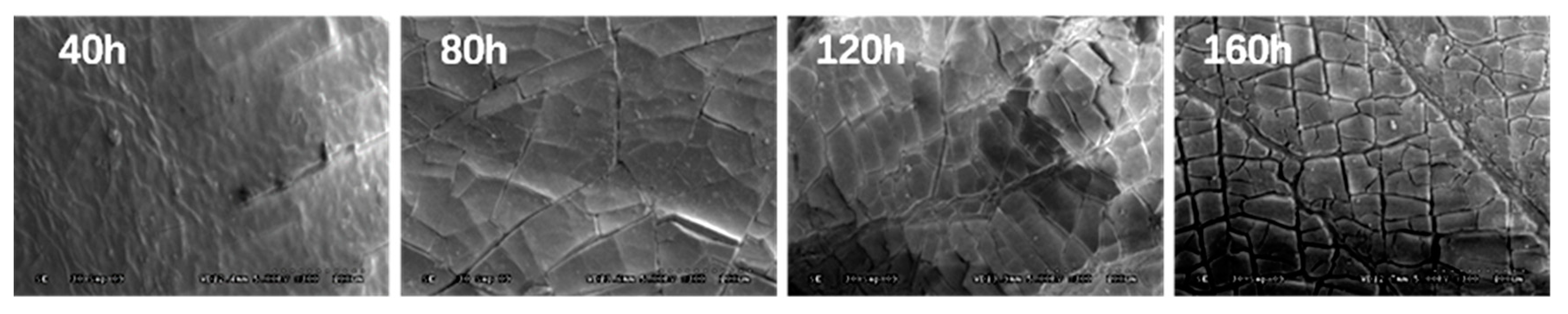Polymers 11 01111 g010 550