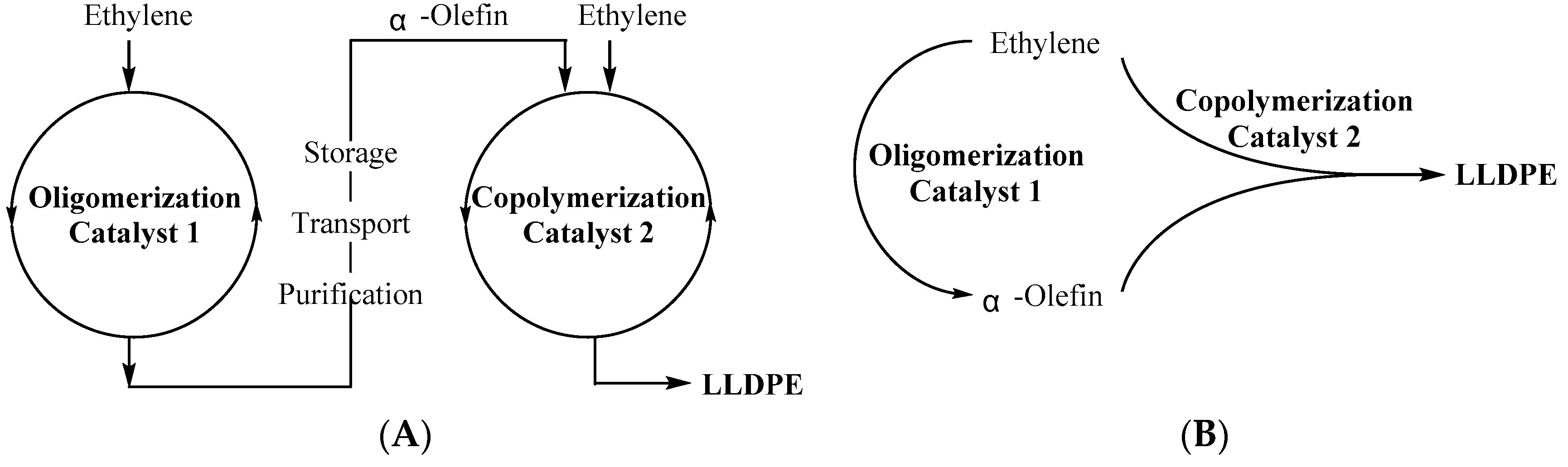 Polymers 11 01114 g001