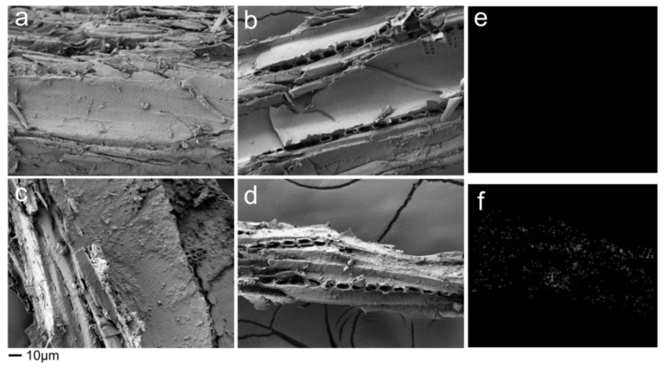 Polymers 11 01115 g002 Polymers 11 01115 g002