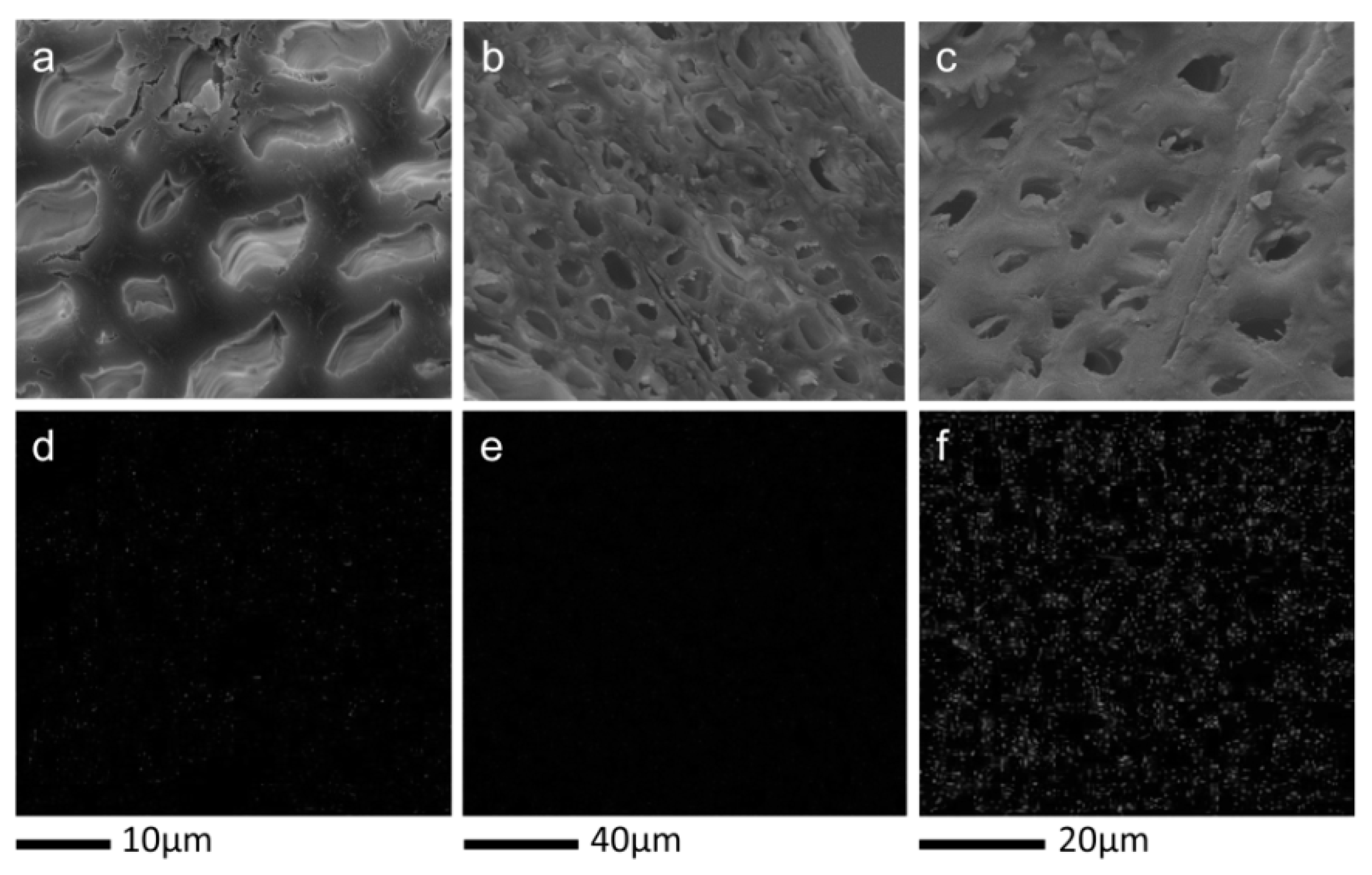 Polymers 11 01115 g003 Polymers 11 01115 g003