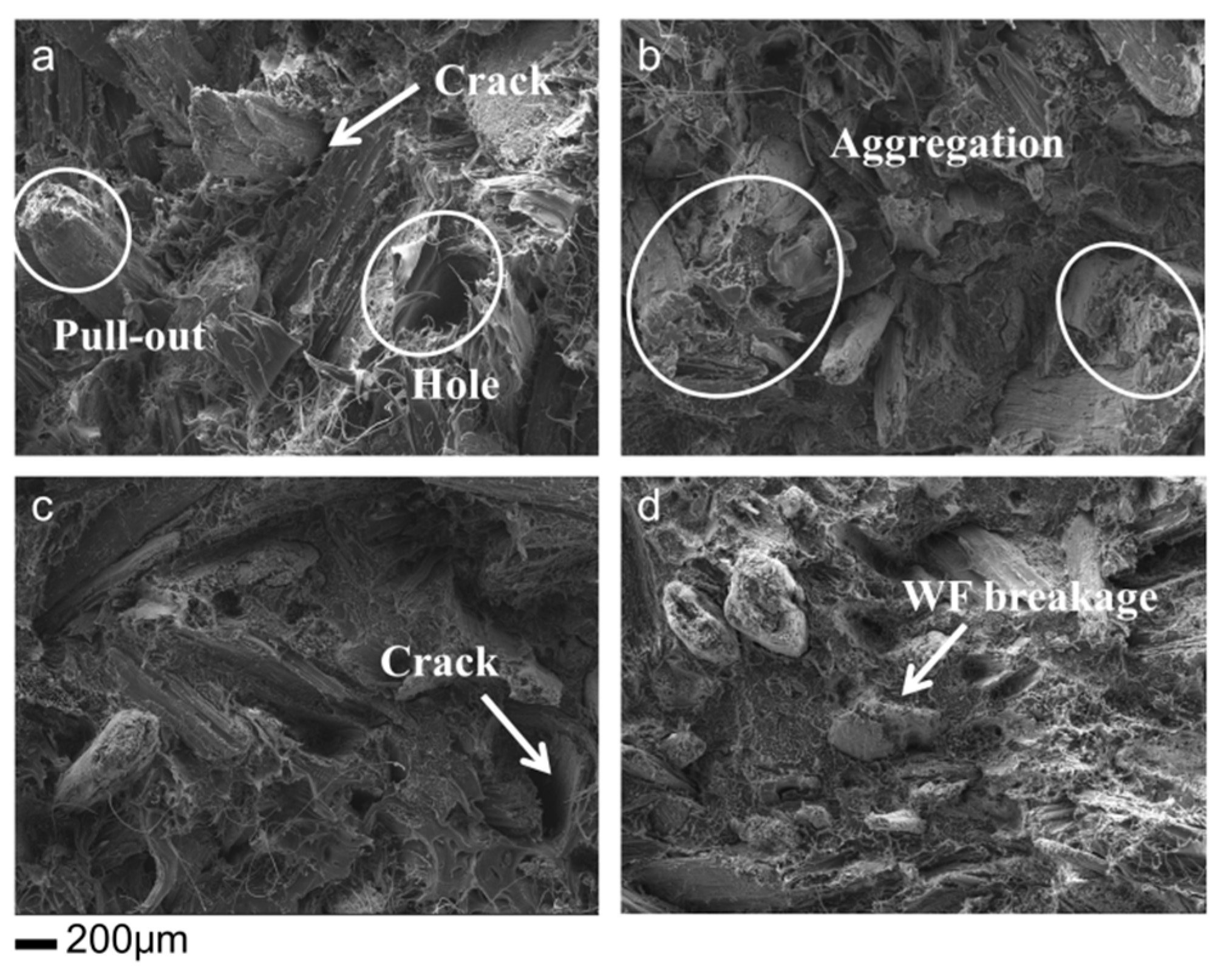 Polymers 11 01115 g010 Polymers 11 01115 g010