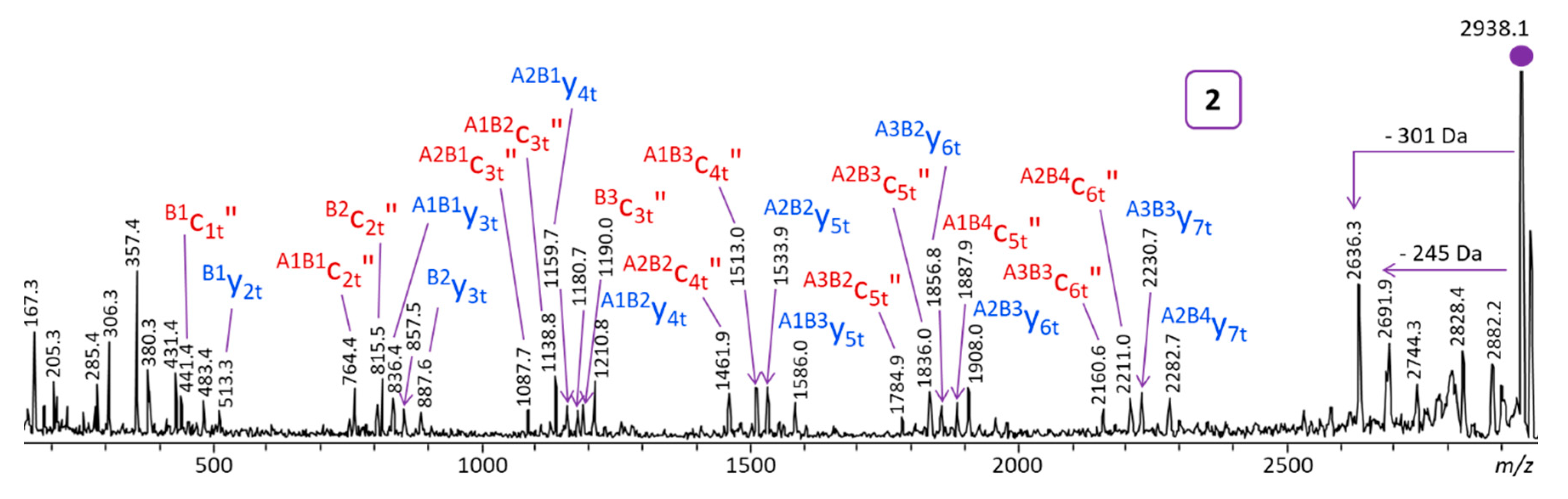 Polymers 11 01118 g004 Polymers 11 01118 g004