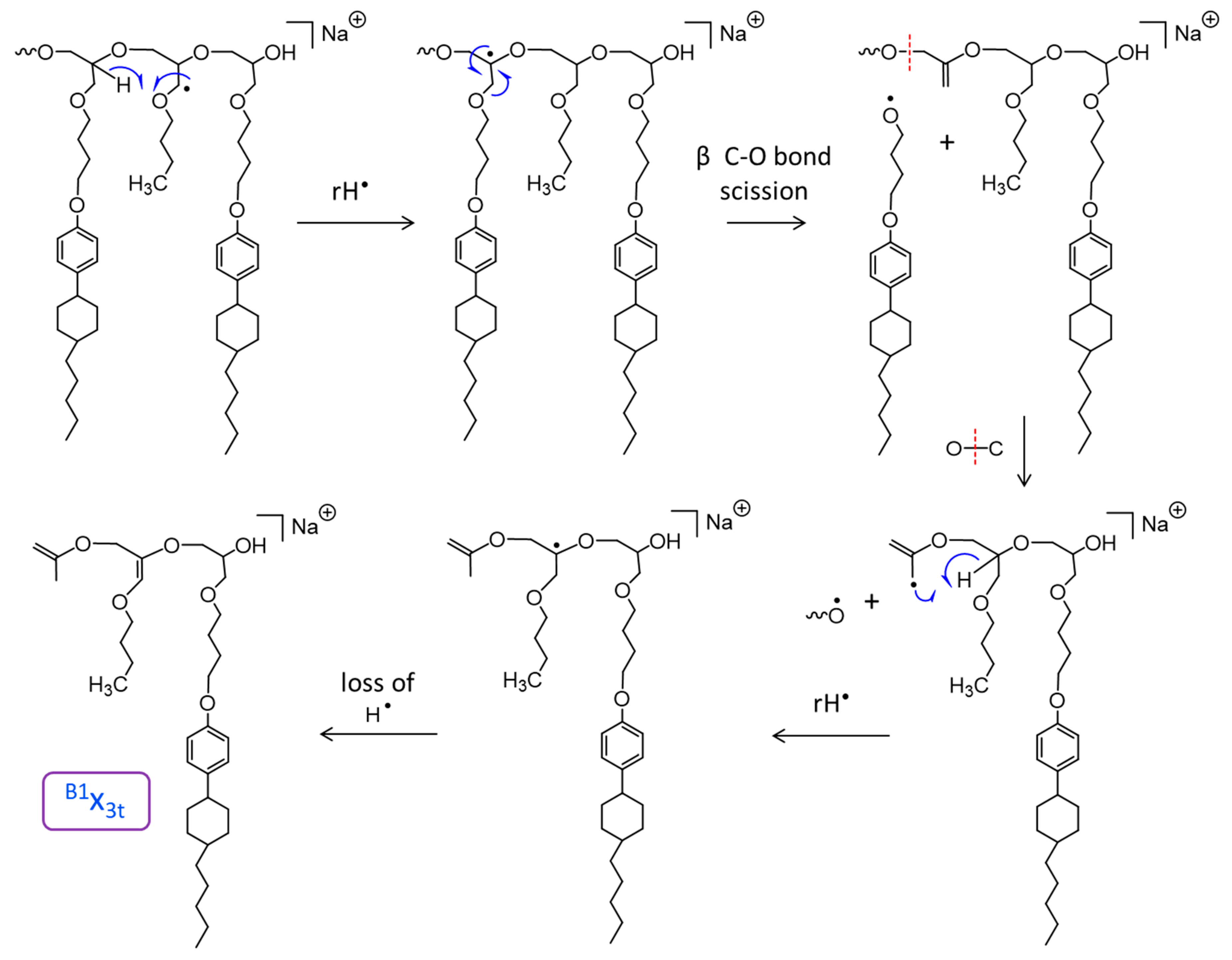 Polymers 11 01118 sch004 Polymers 11 01118 sch004