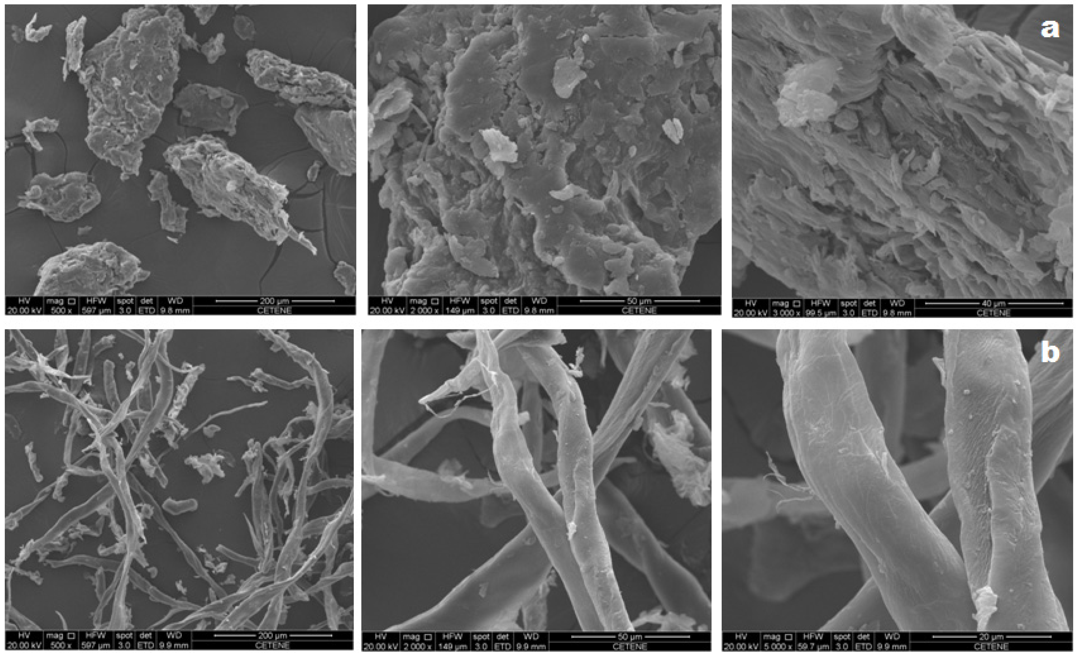 Polymers 11 01124 g002 Polymers 11 01124 g002