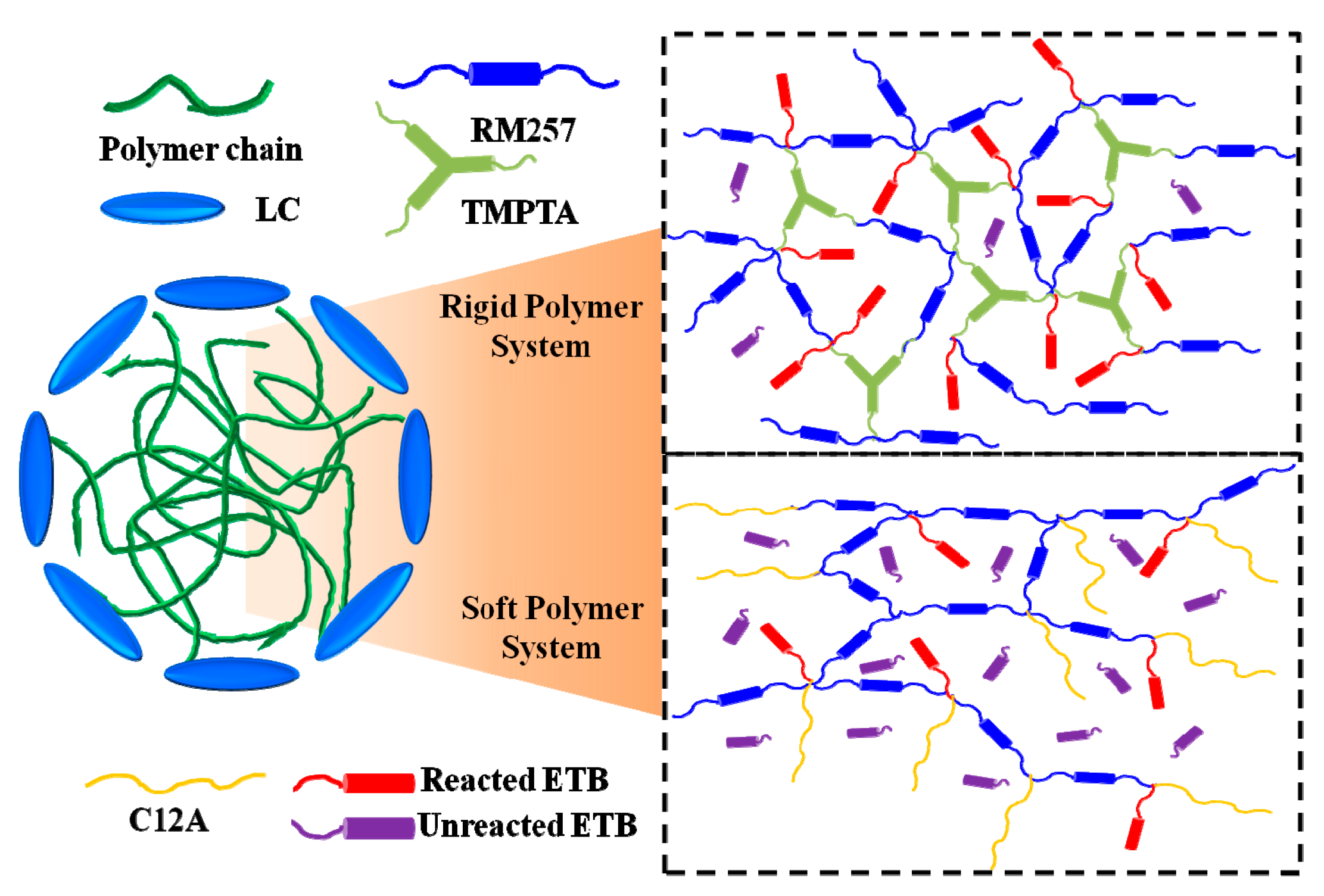 Polymers 11 01128 g010