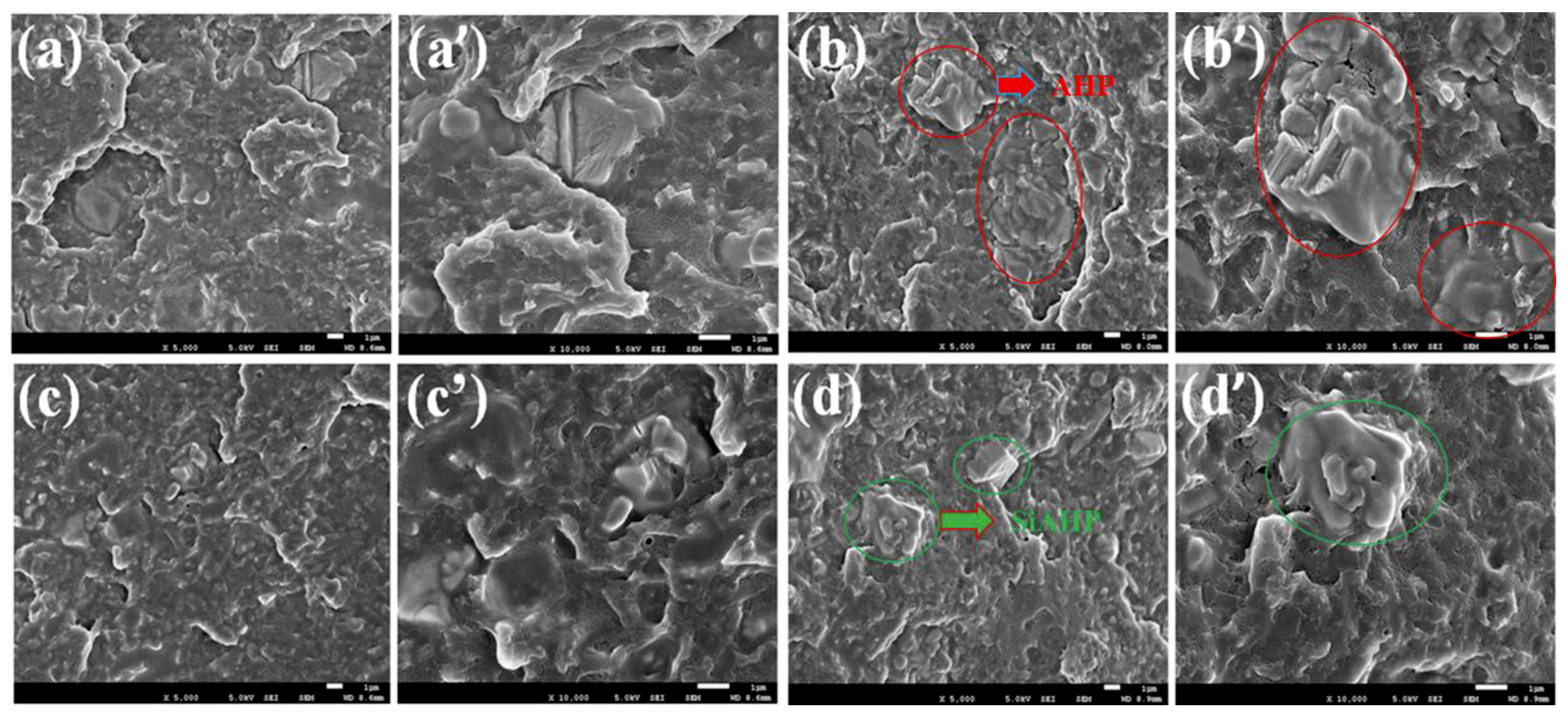 Polymers 11 01129 g003