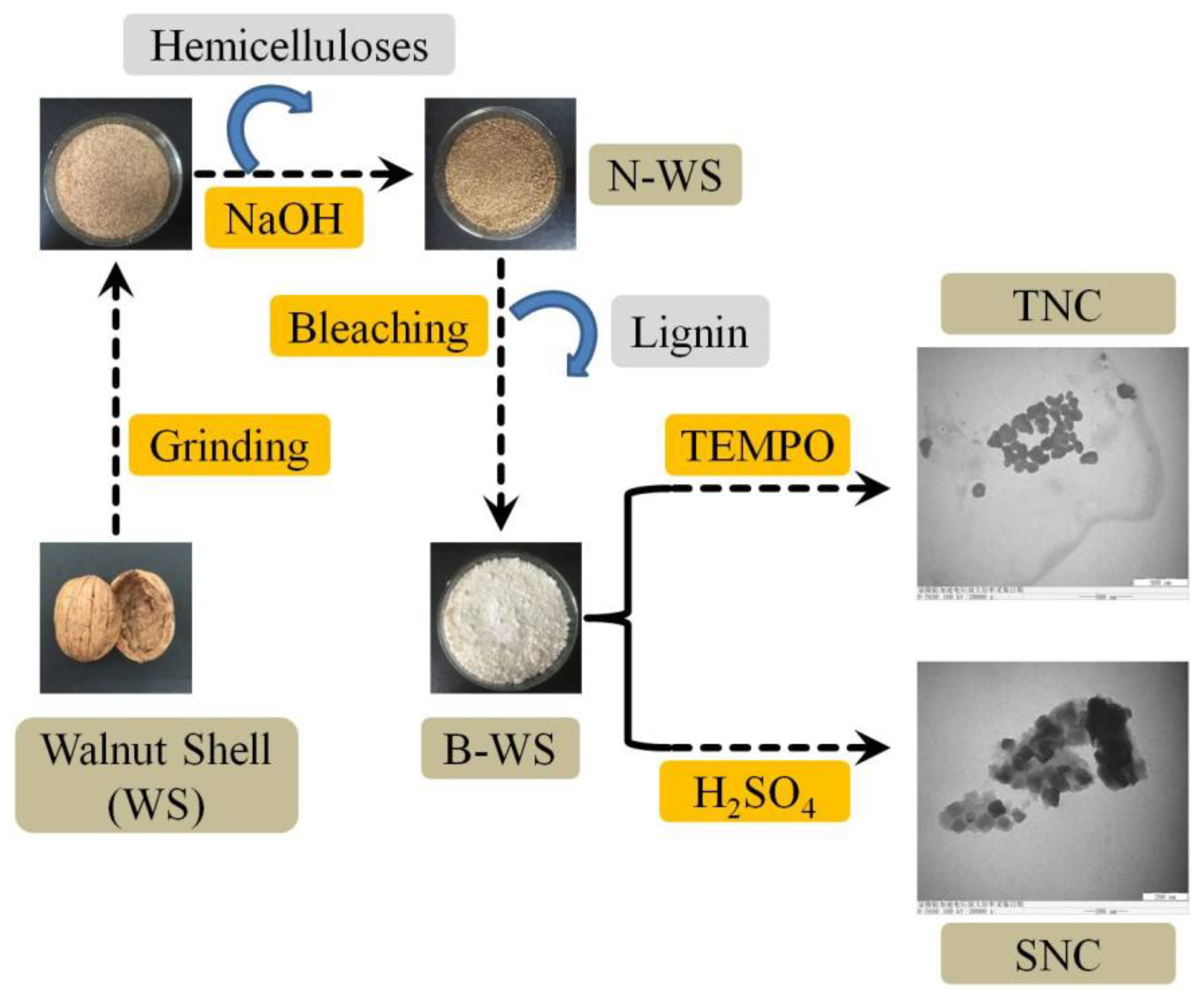 Polymers 11 01130 g001