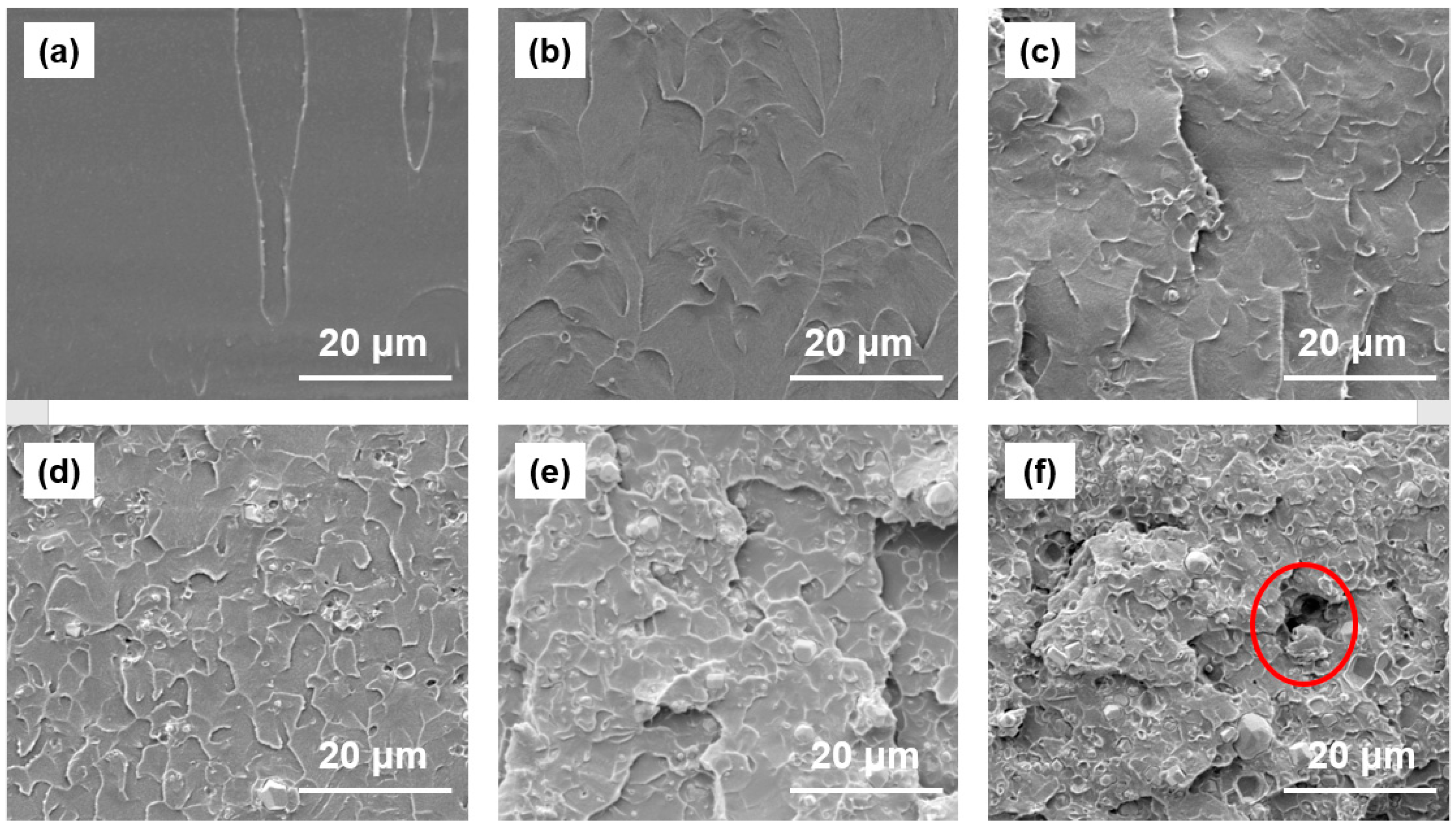 Polymers 11 01136 g001 Polymers 11 01136 g001