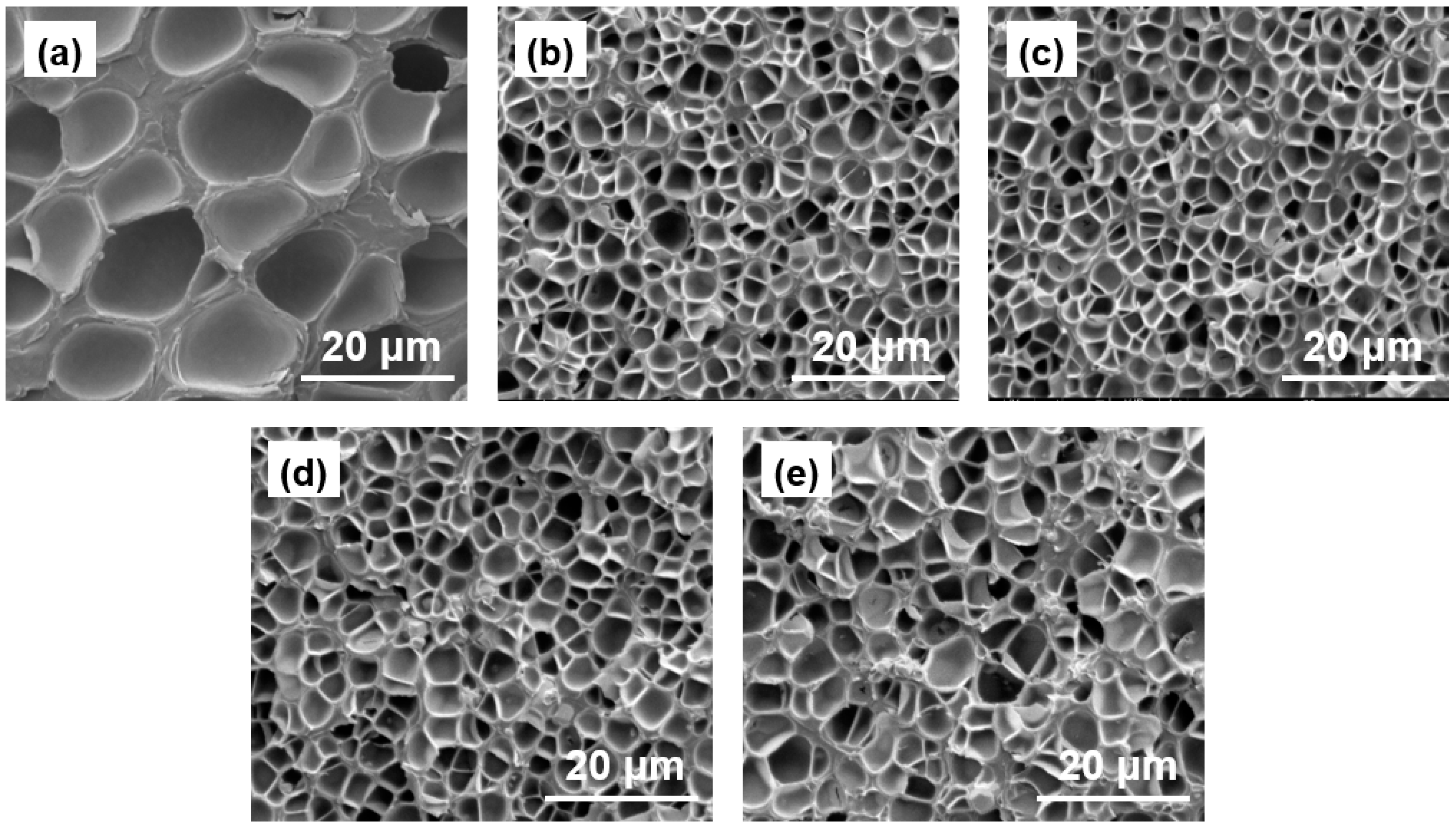 Polymers 11 01136 g003 Polymers 11 01136 g003