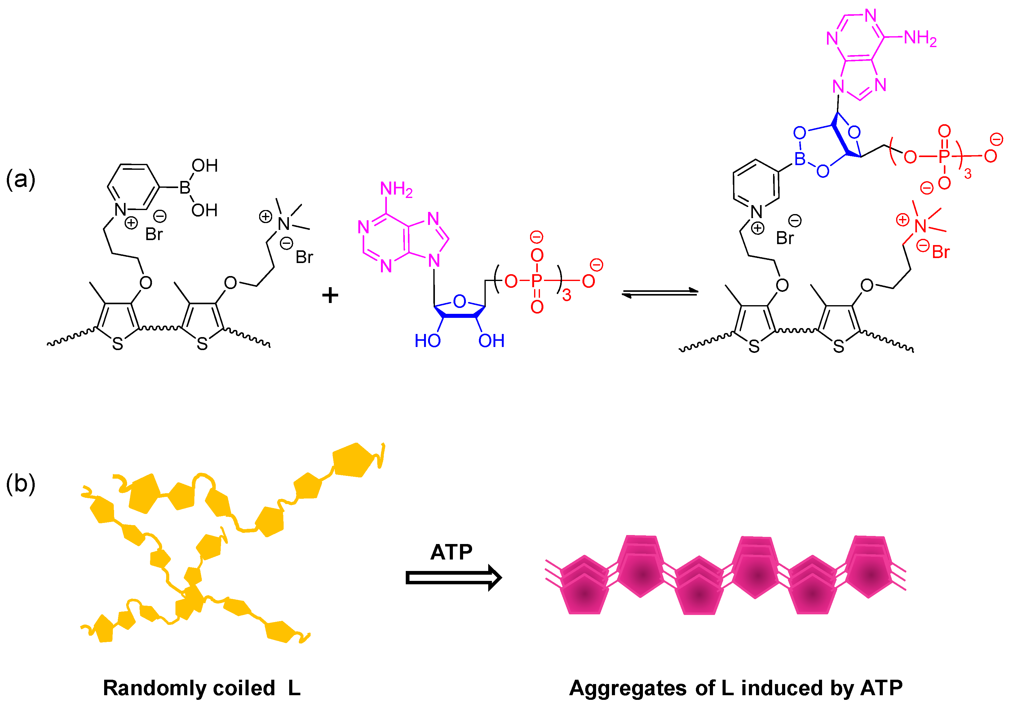 Polymers 11 01139 sch001 Polymers 11 01139 sch001