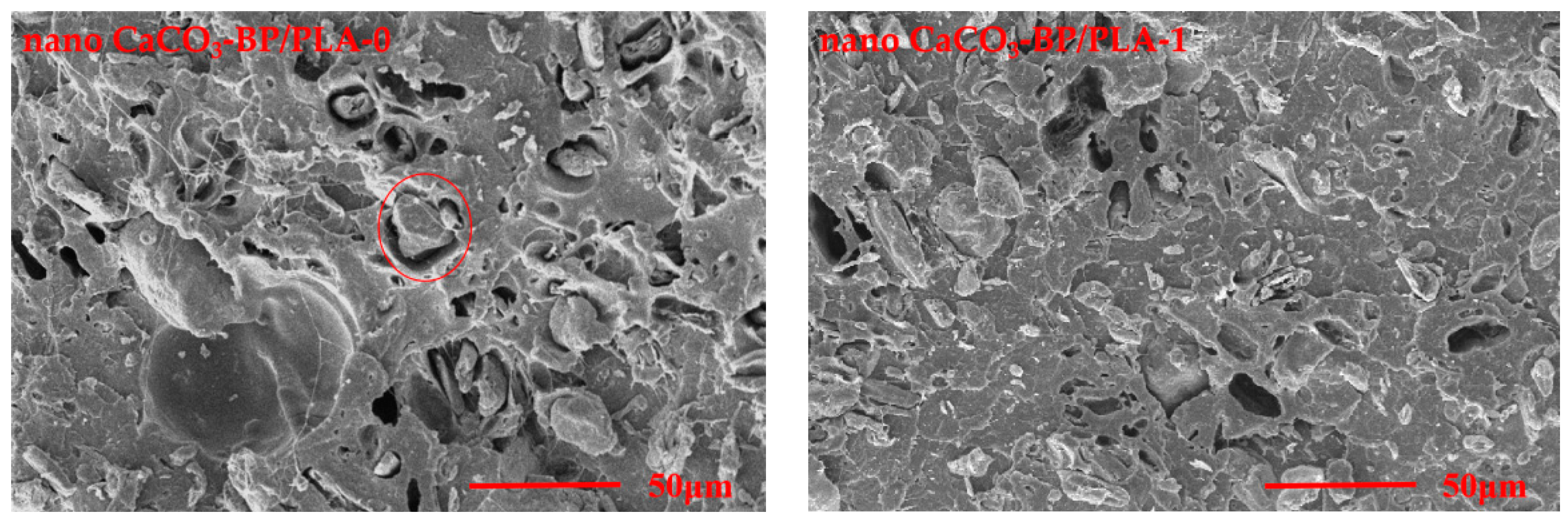 Polymers 11 01146 g007b Polymers 11 01146 g007b