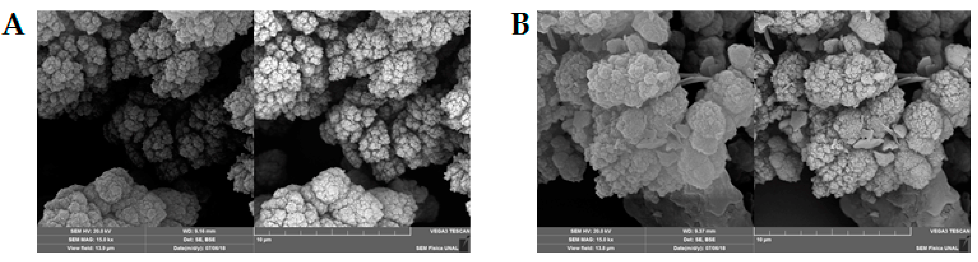 Polymers 11 01147 g002 Polymers 11 01147 g002