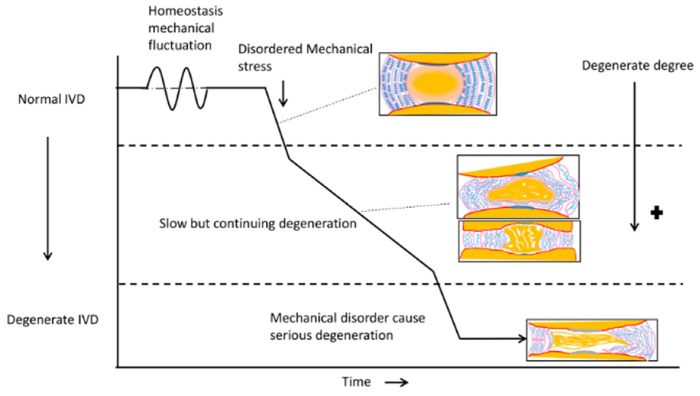 Polymers 11 01151 g002 Polymers 11 01151 g002