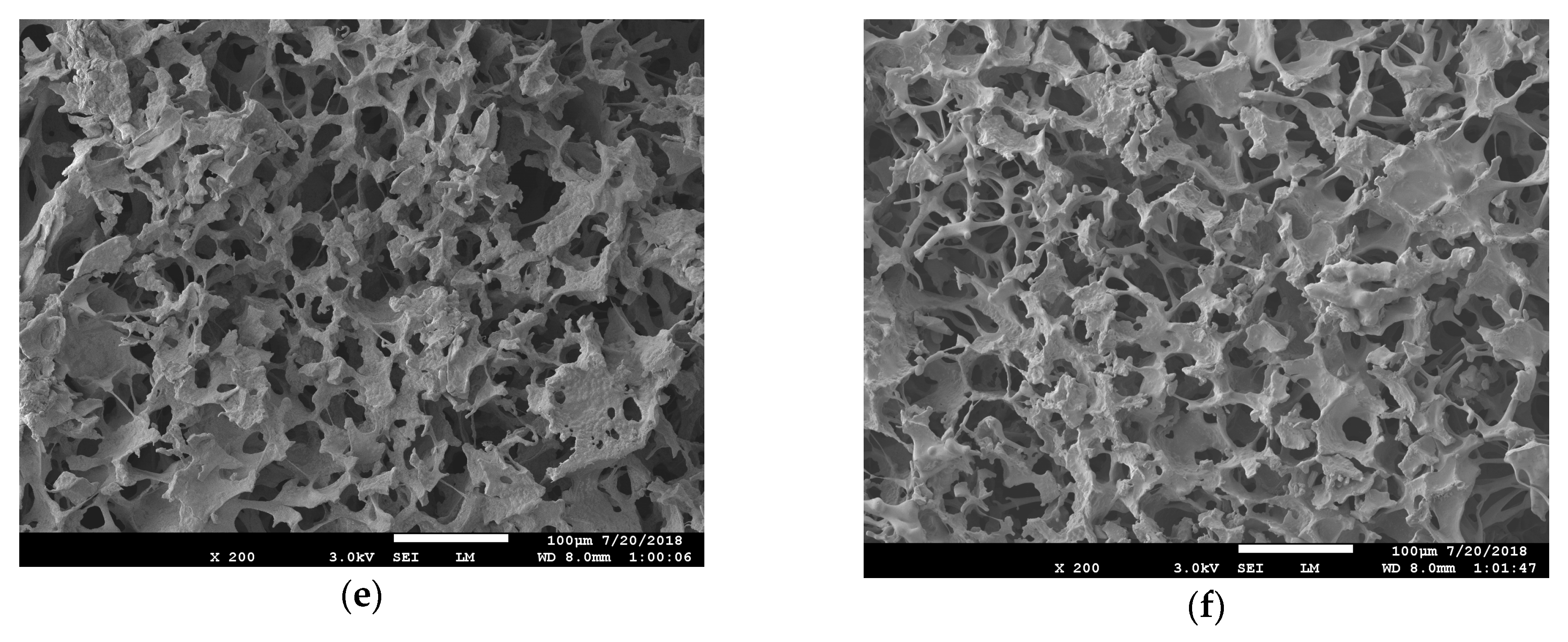 Polymers 11 01152 g008b