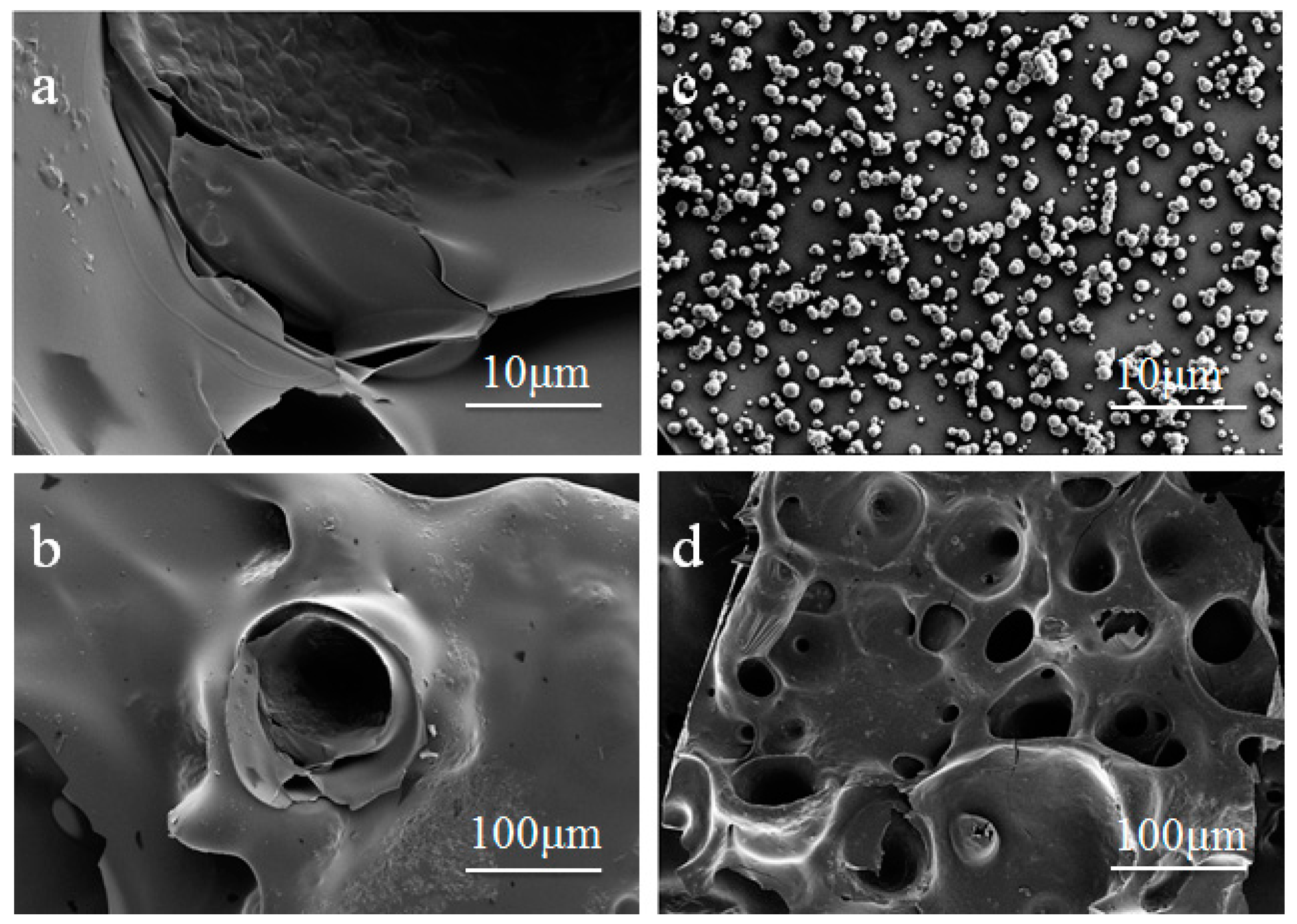 Polymers 11 01155 g006