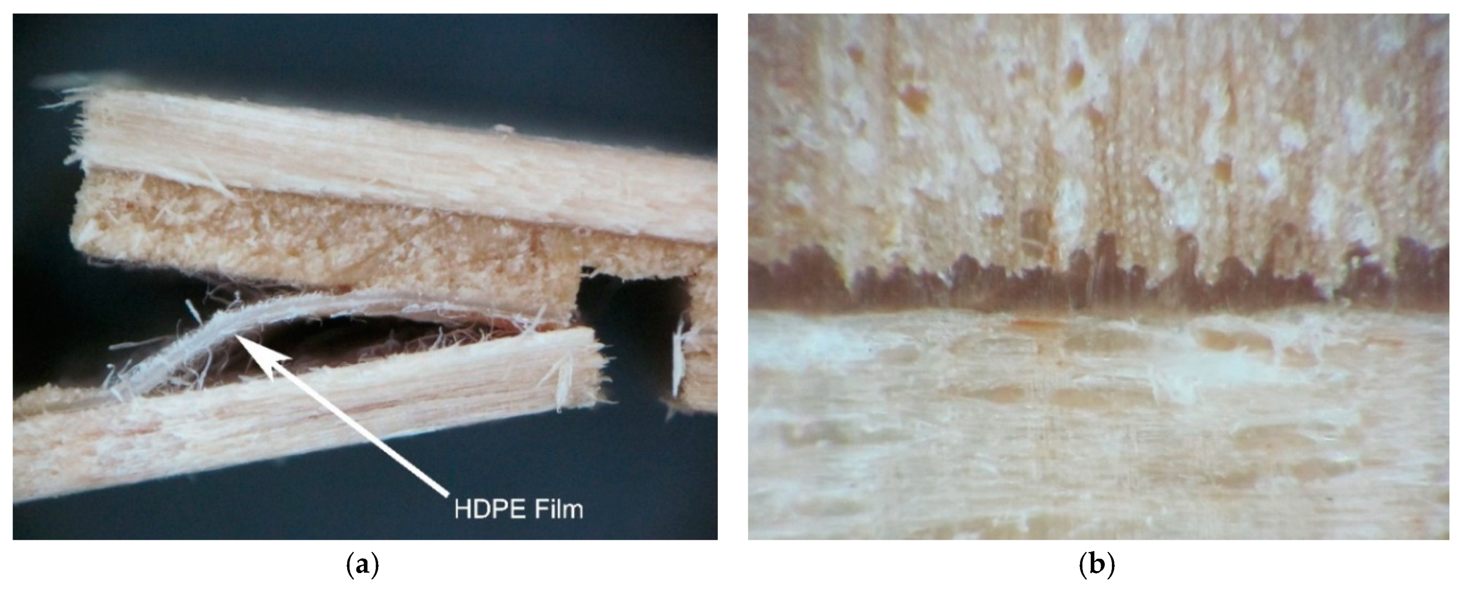 Polymers 11 01166 g005
