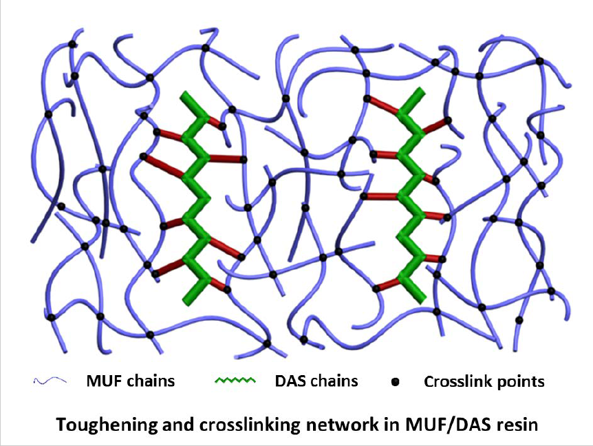 Polymers Free FullText Toughening and Enhancing MelamineUrea