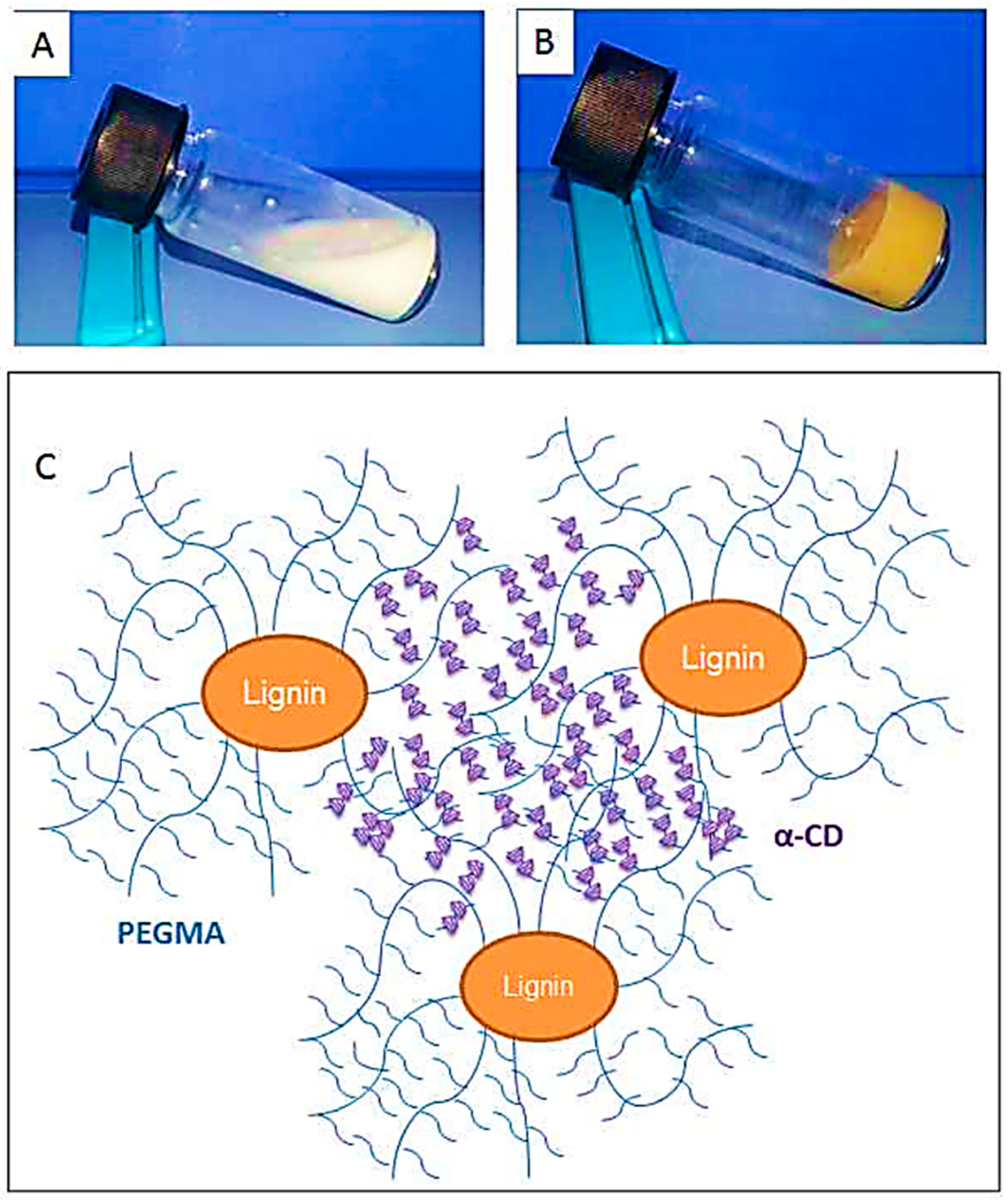 Polymers 11 01176 g023