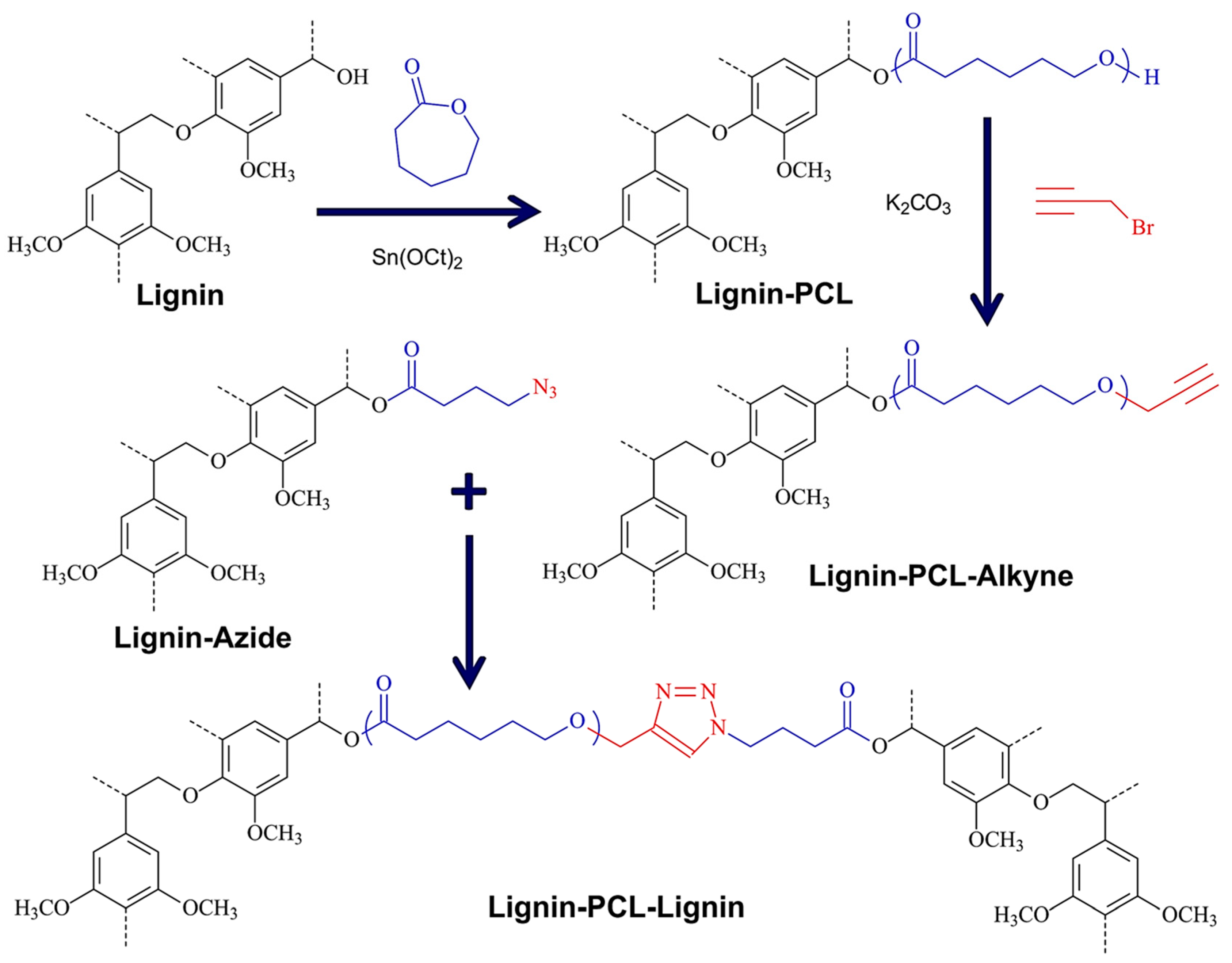 Macromolecule Monomer Polymer Chart