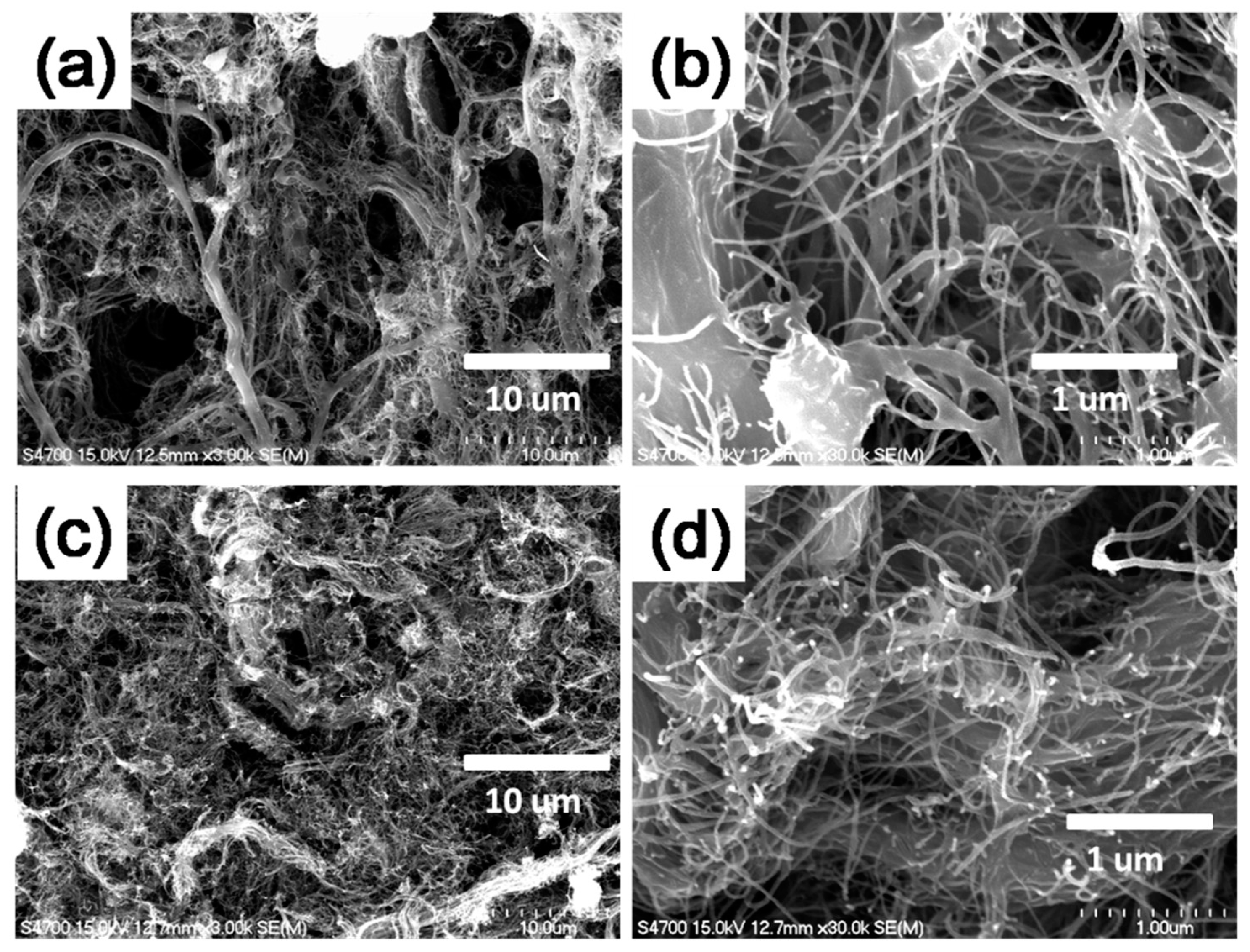Polymers 11 01183 g002