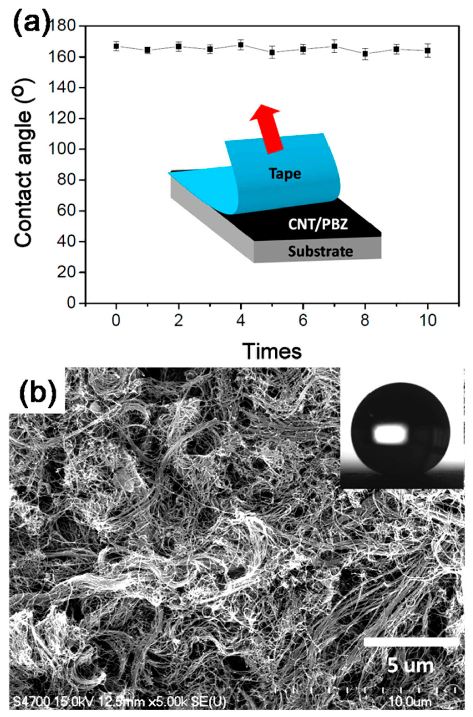Polymers 11 01183 g003