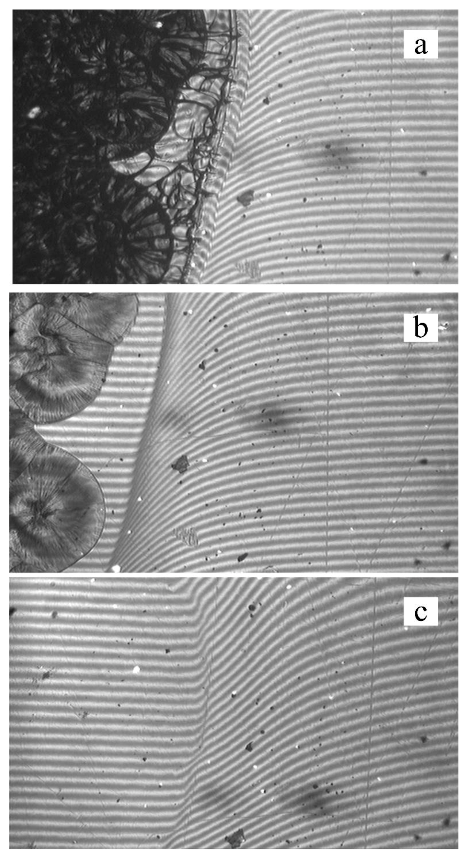 Polymers 11 01191 g003 550