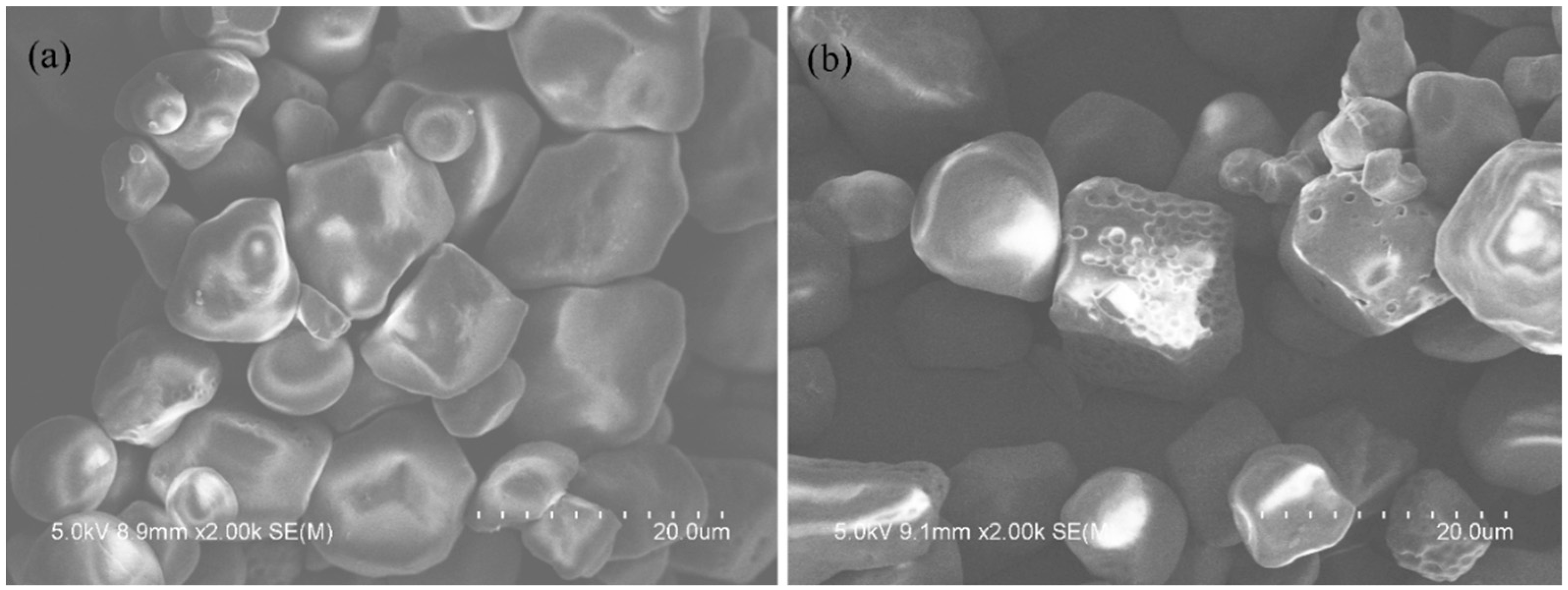 Polymers 11 01197 g002