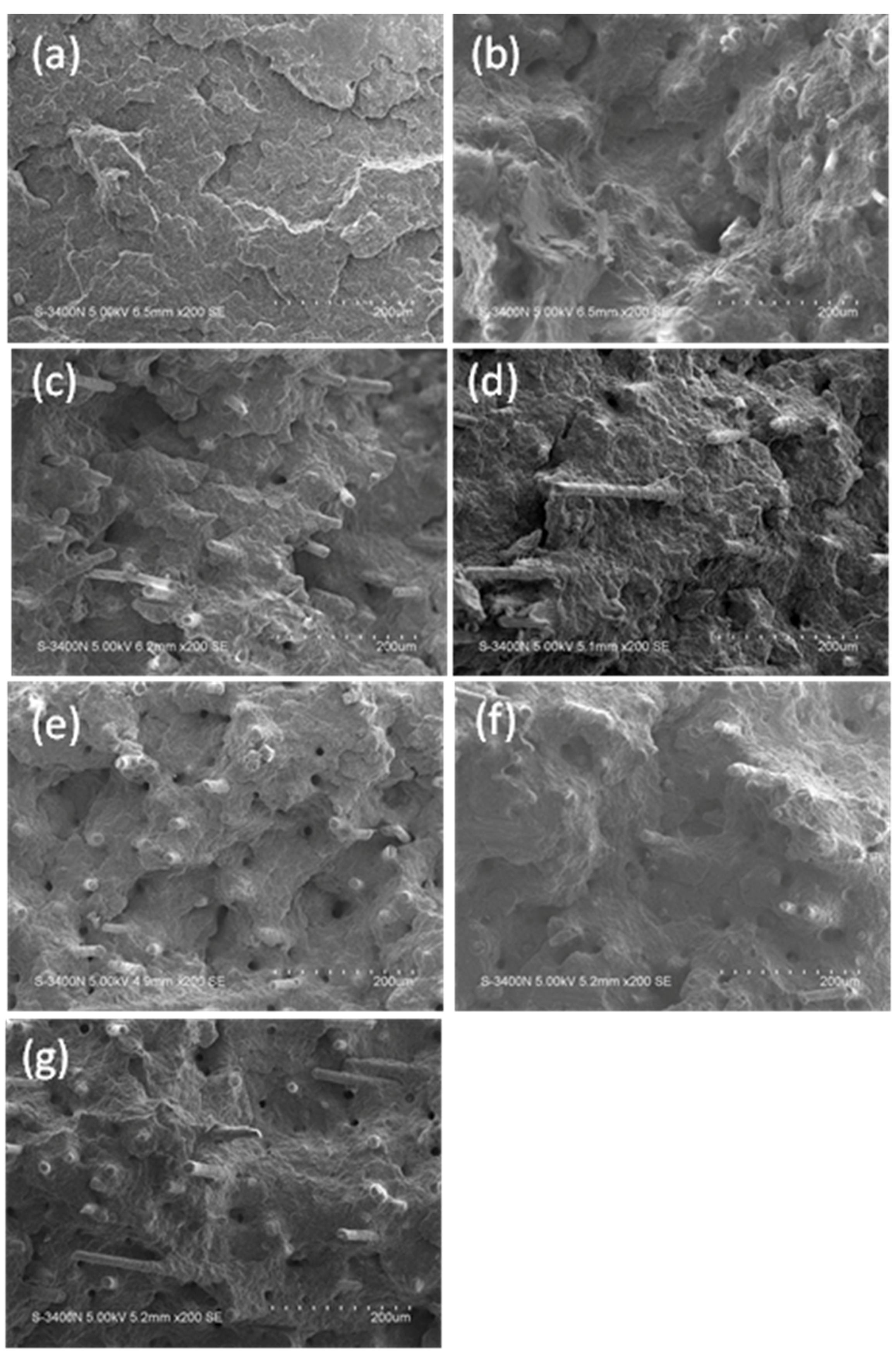 Polymers 11 01198 g010