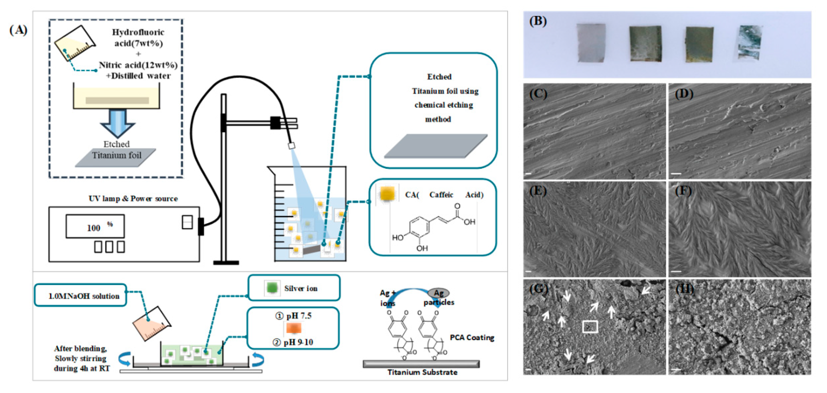 Polymers 11 01200 g001 Polymers 11 01200 g001
