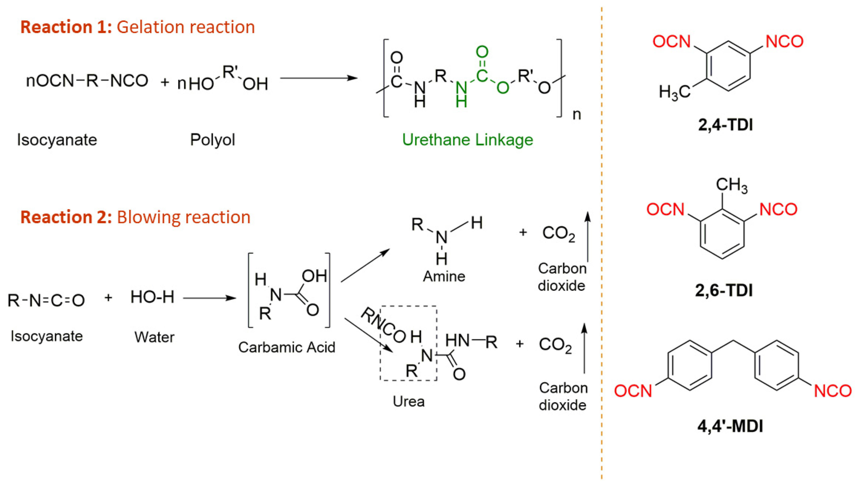 Polymers Free Full Text Lignin Based Polyurethanes Opportunities For Bio Based Foams Elastomers Coatings And Adhesives Html