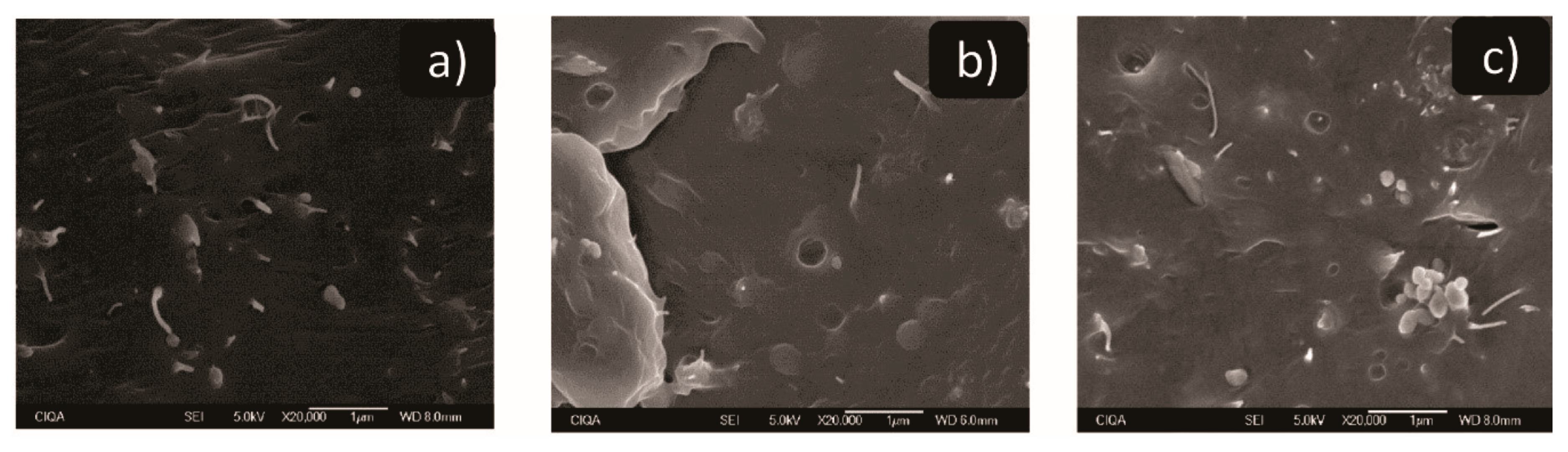 Polymers 11 01204 g007 Polymers 11 01204 g007