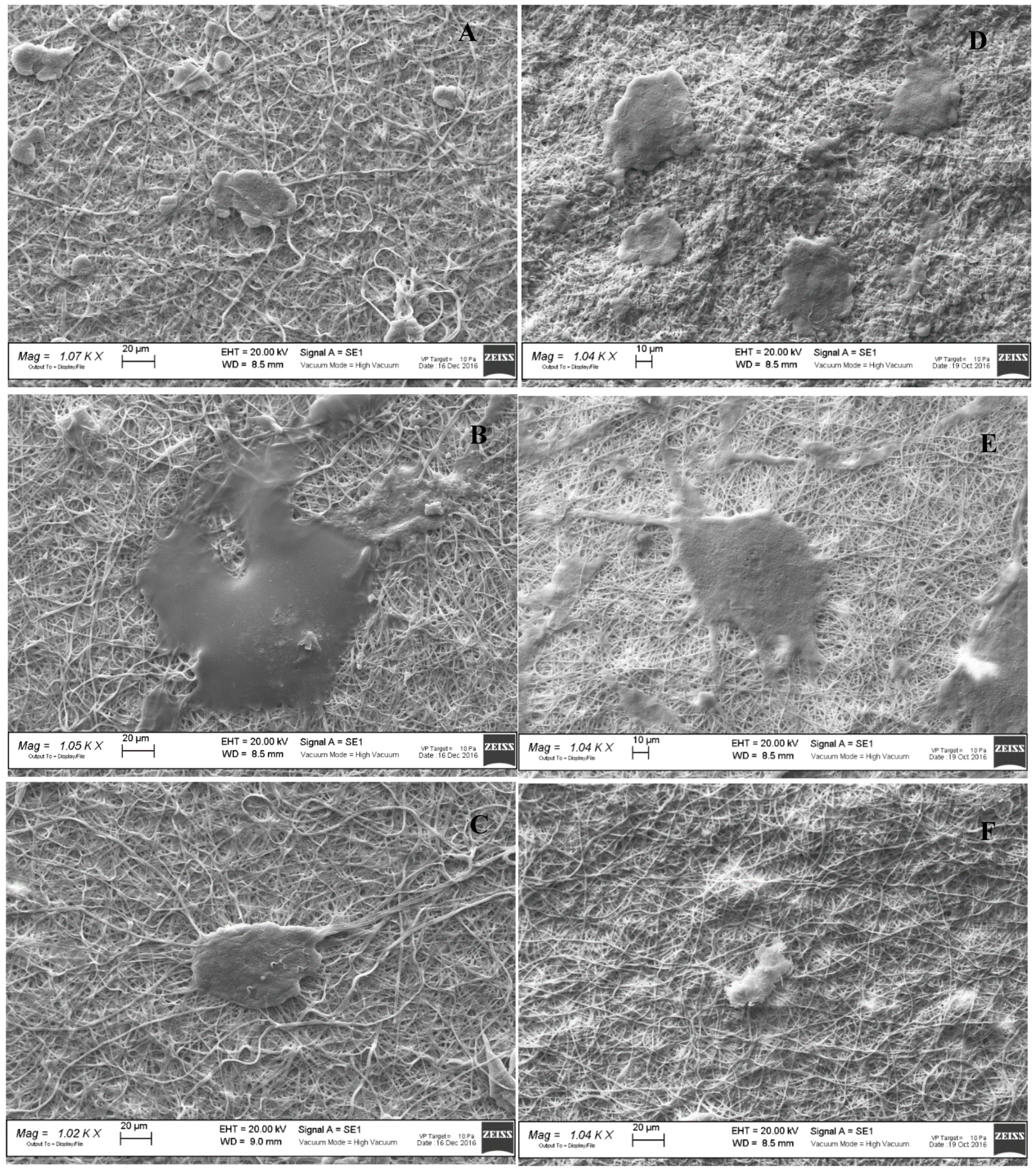 Polymers 11 01207 g006 Polymers 11 01207 g006