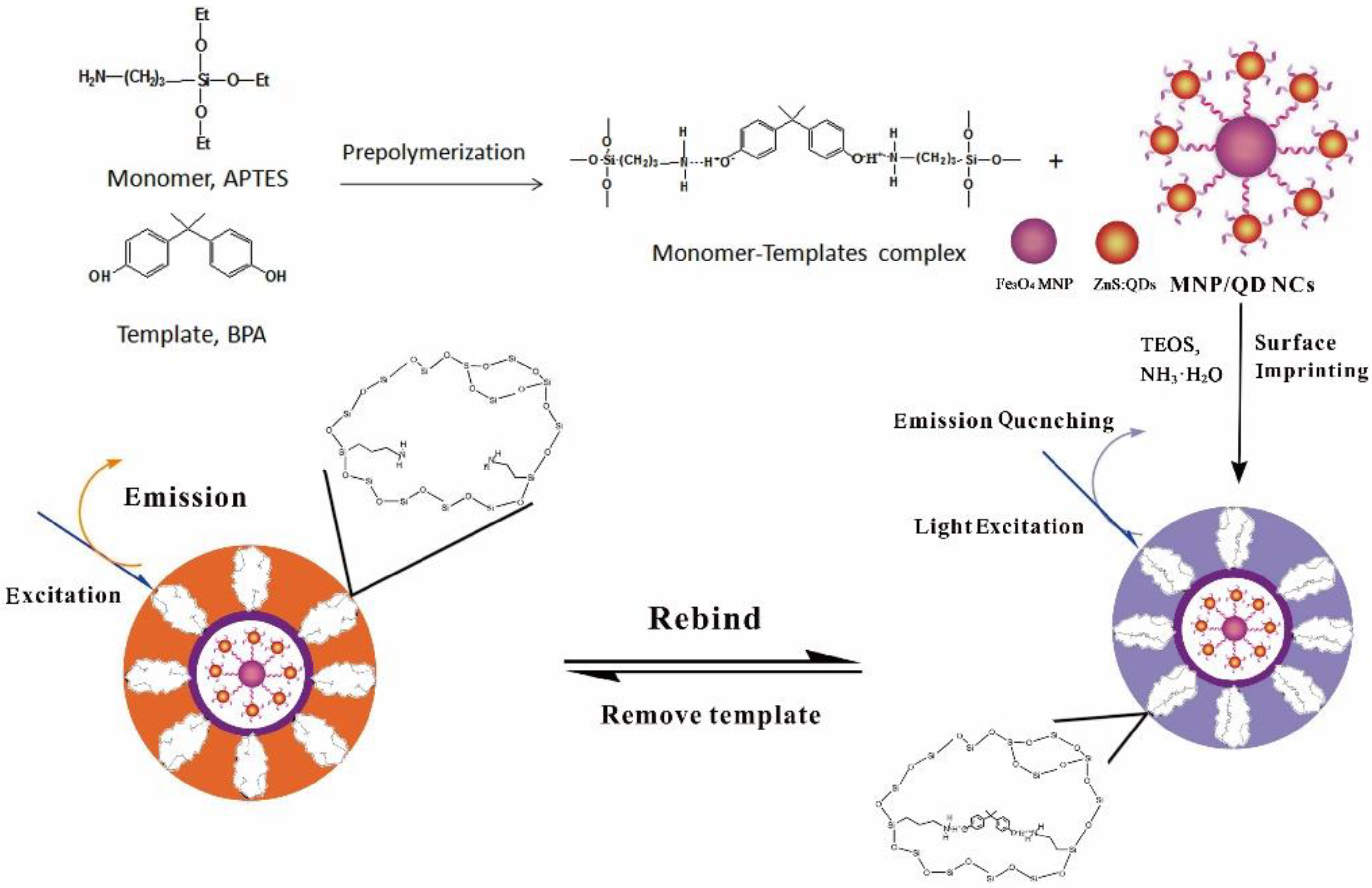 Polymers 11 01210 g001