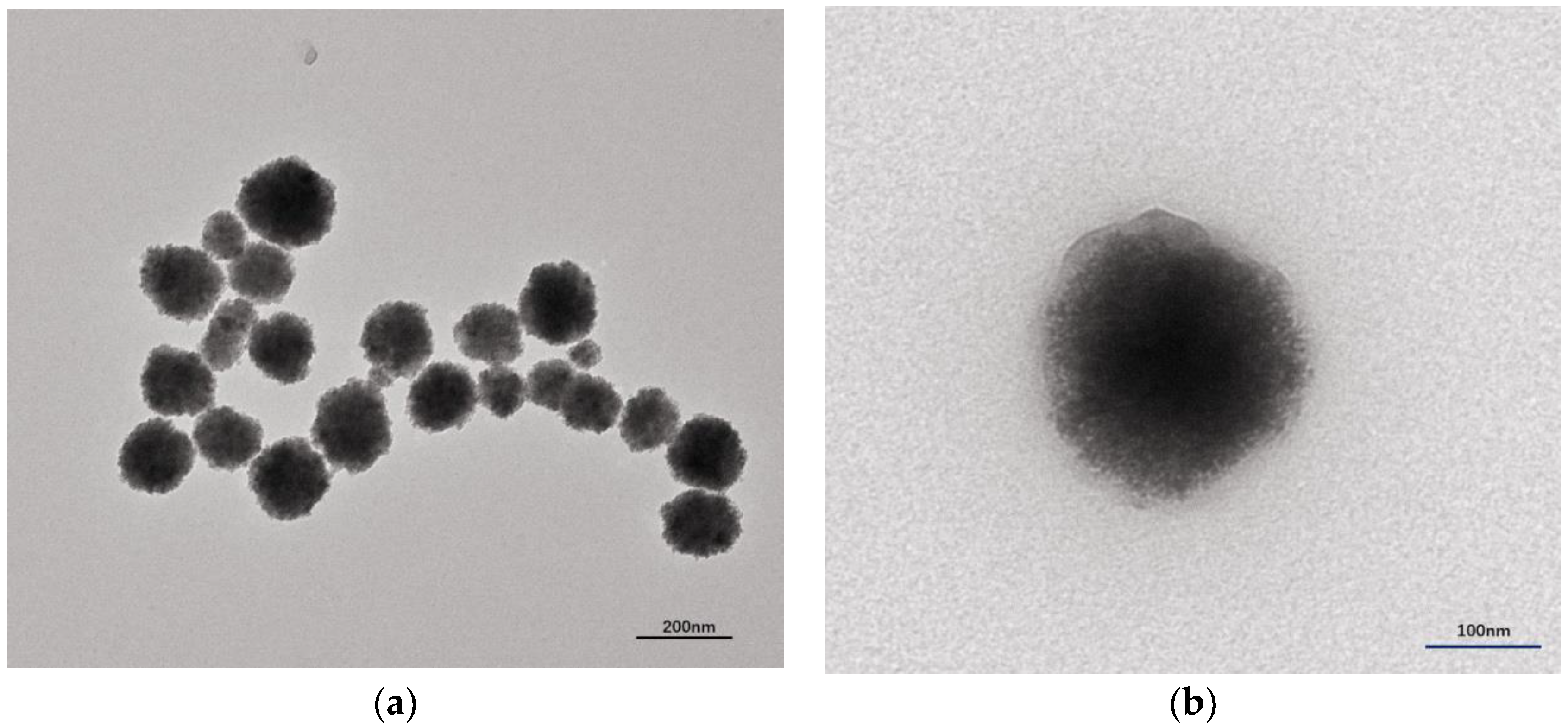 Polymers 11 01210 g002