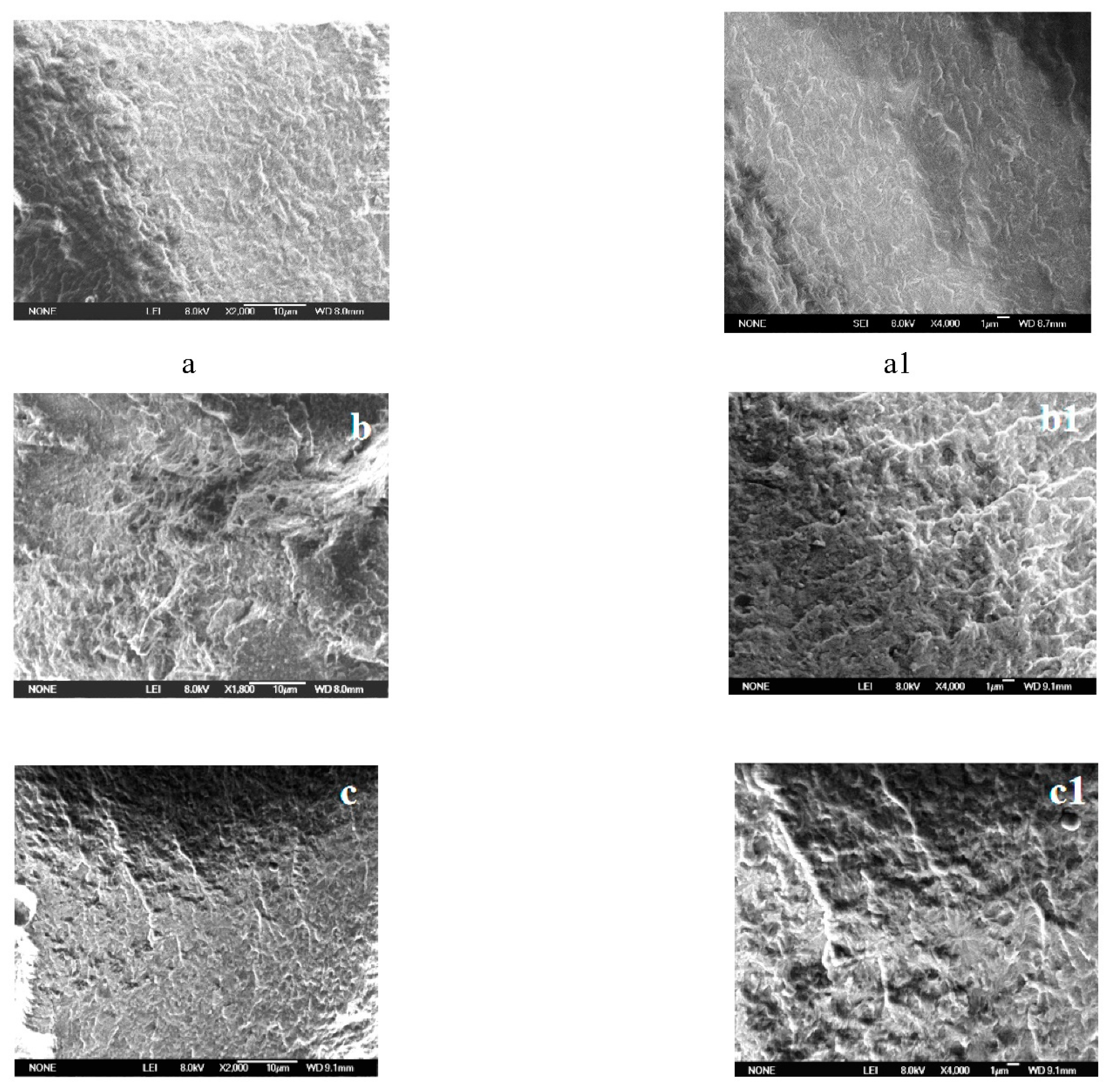 Polymers 11 01211 g003