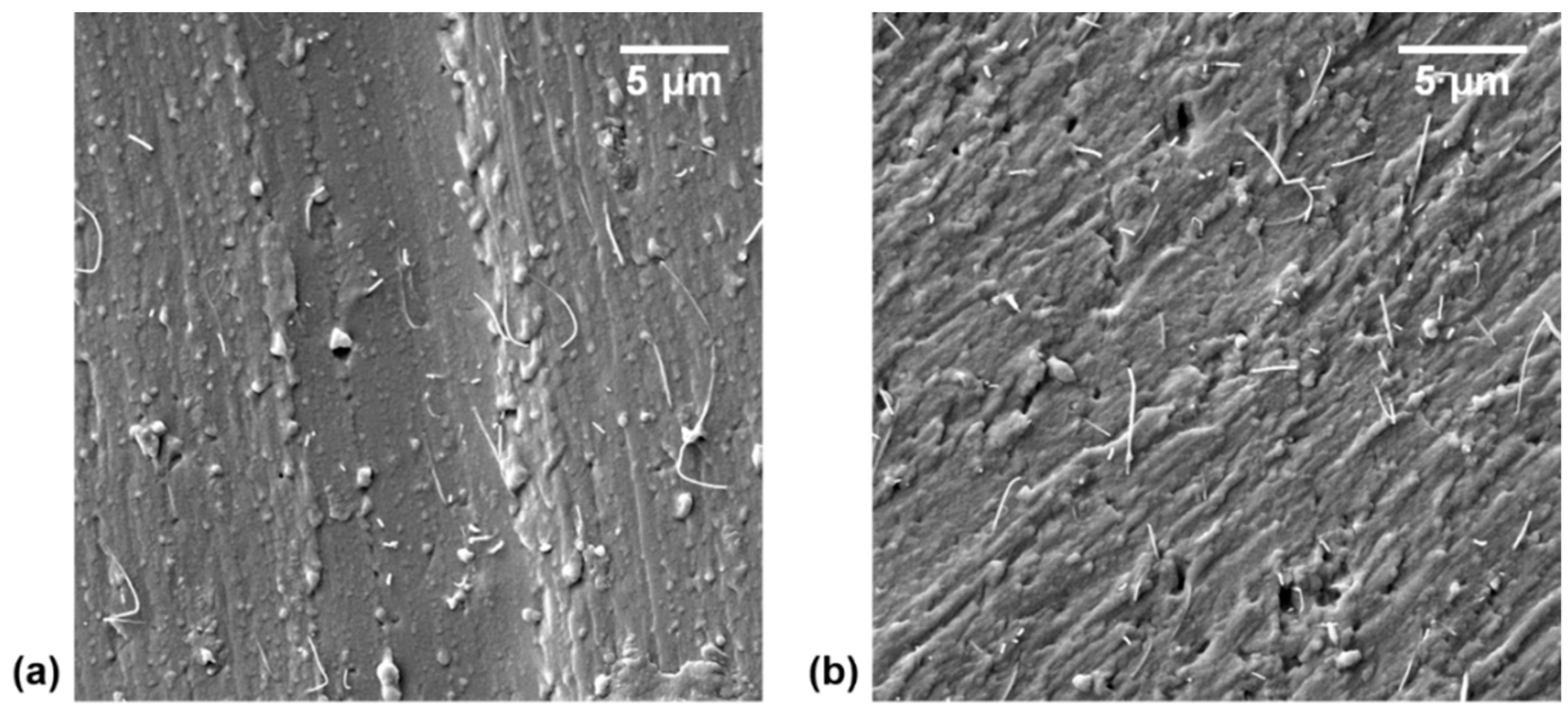 Polymers 11 01212 g002 Polymers 11 01212 g002