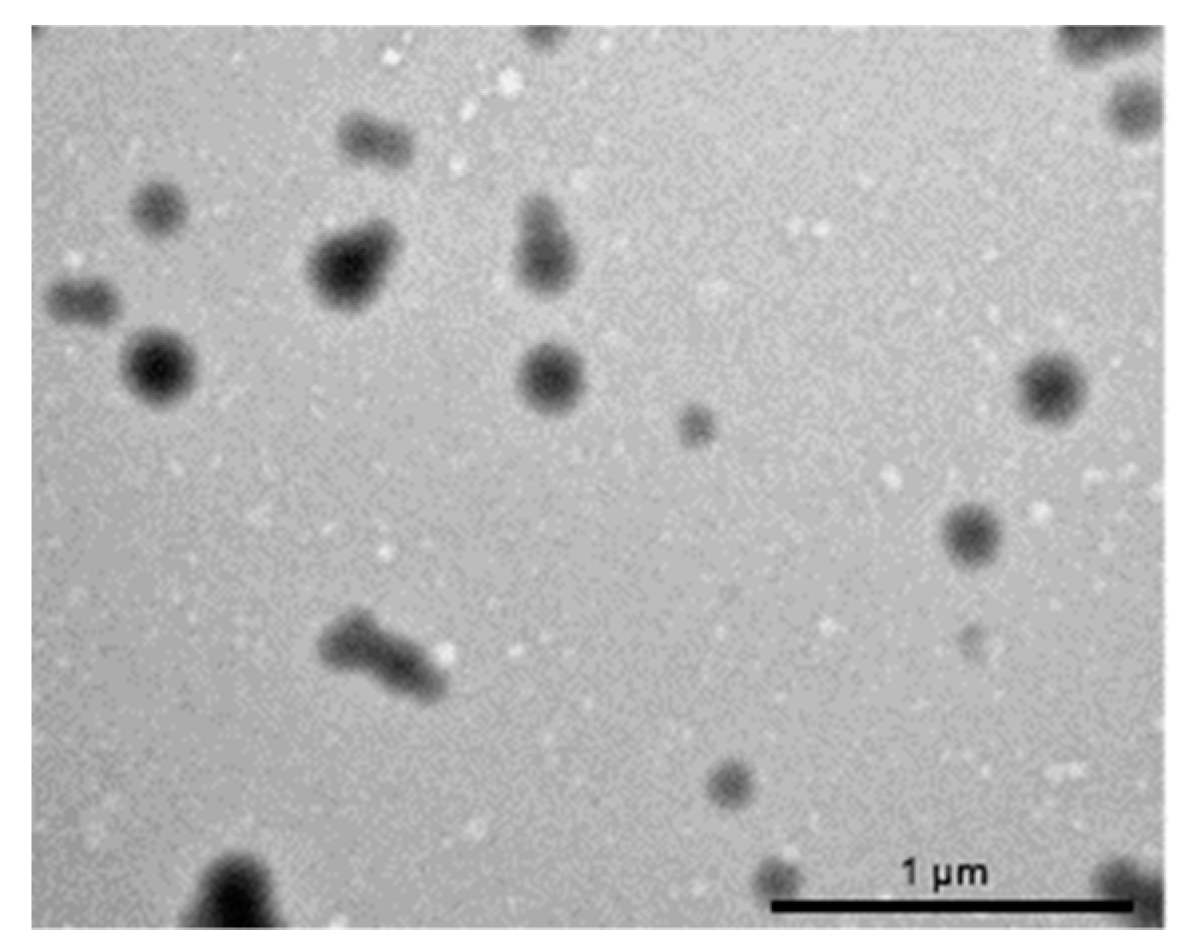 Polymers 11 01213 g003