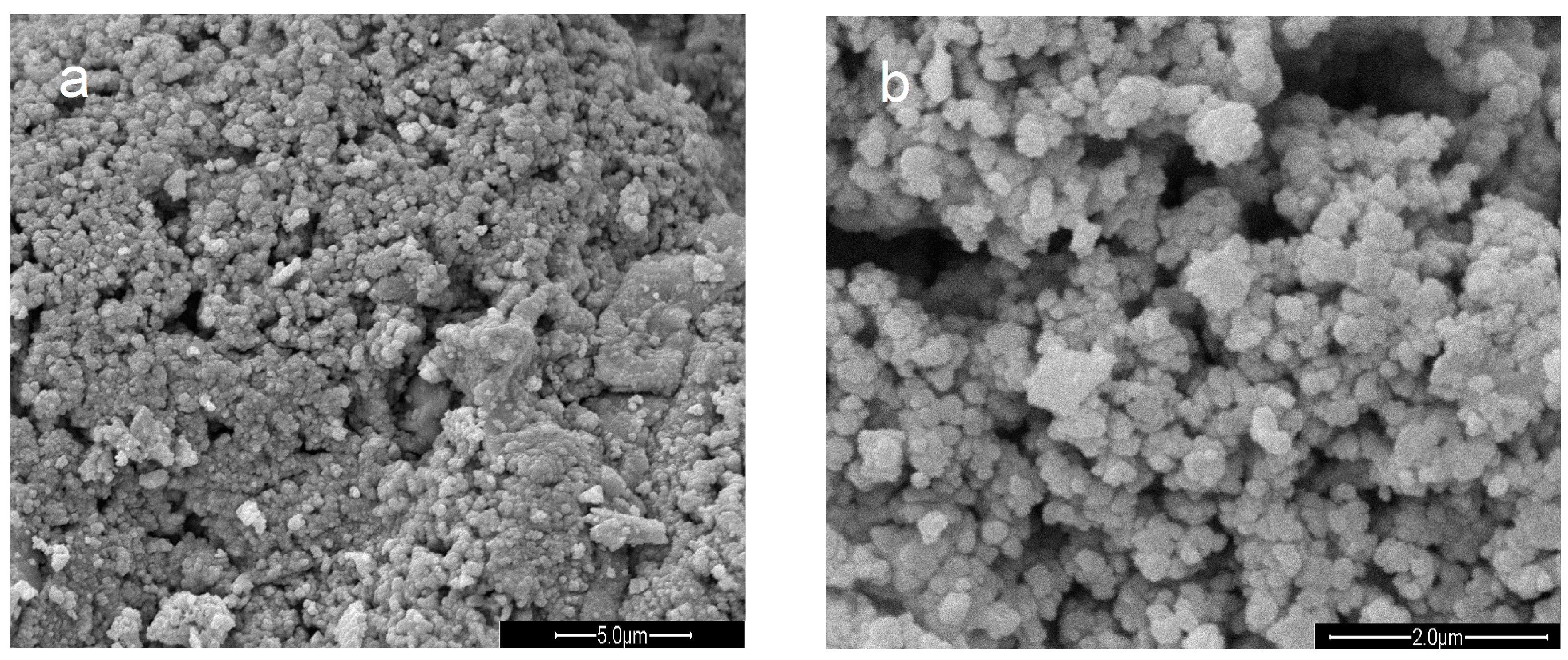 Polymers 11 01218 g002 Polymers 11 01218 g002