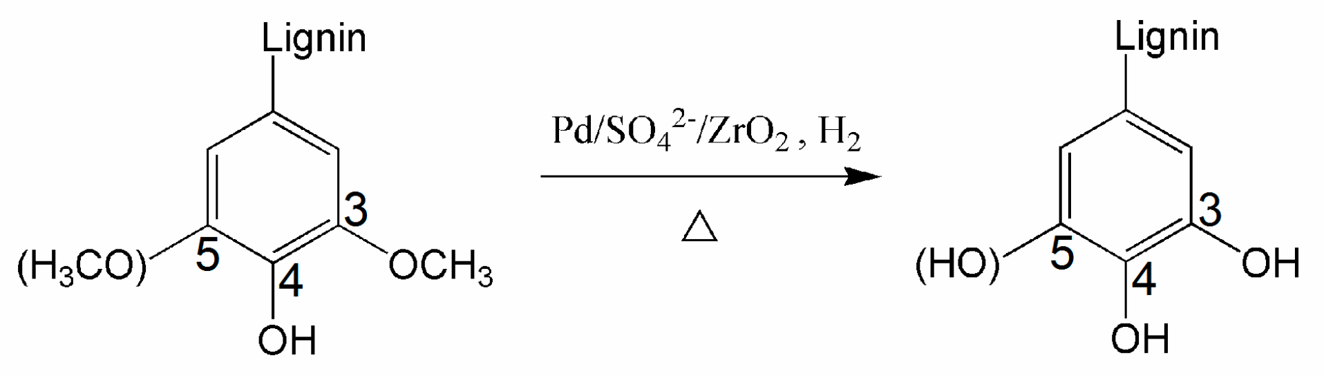 Polymers 11 01218 sch002 Polymers 11 01218 sch002