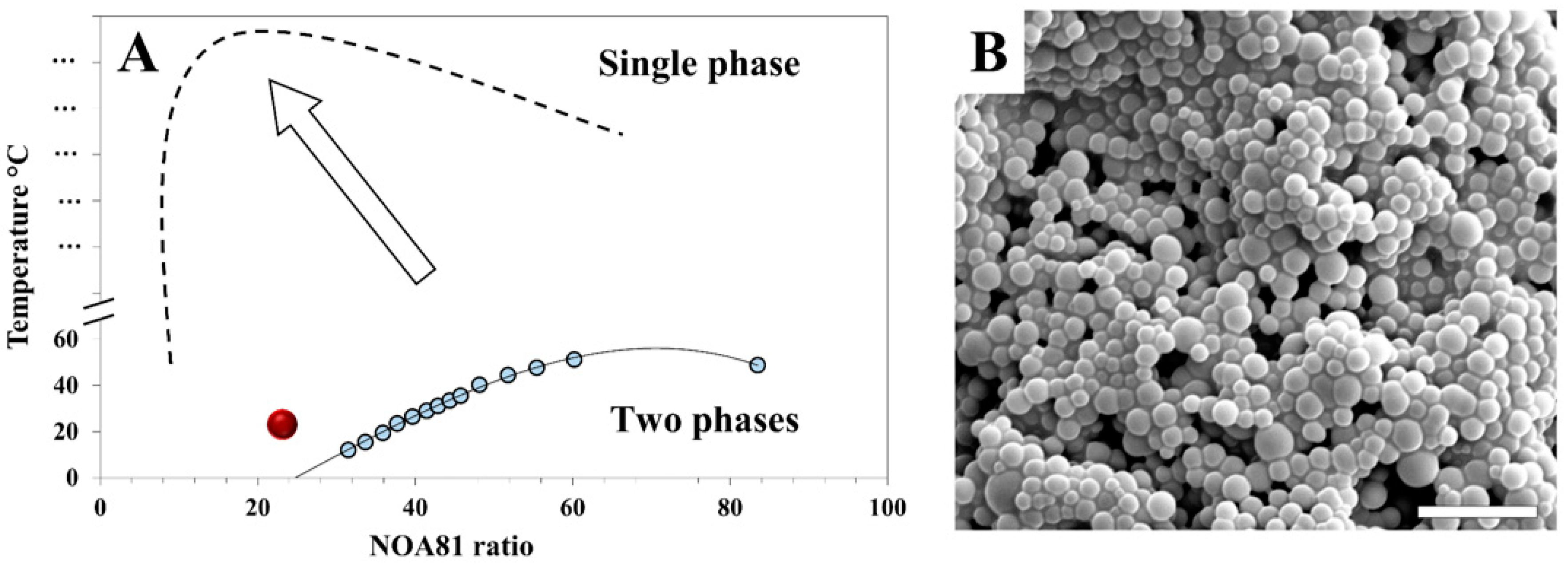 Polymers 11 01225 g001 Polymers 11 01225 g001