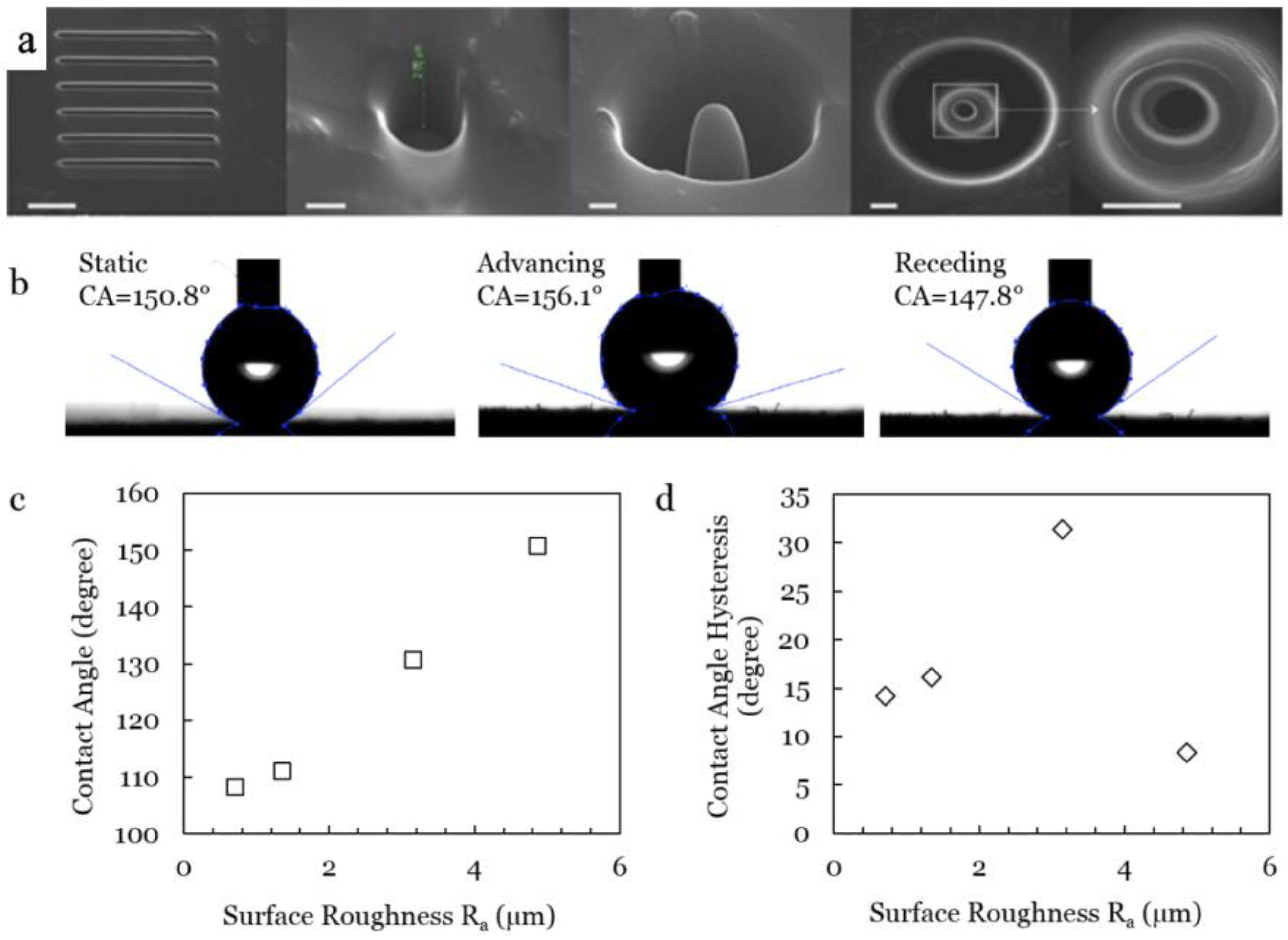 Polymers 11 01229 g005