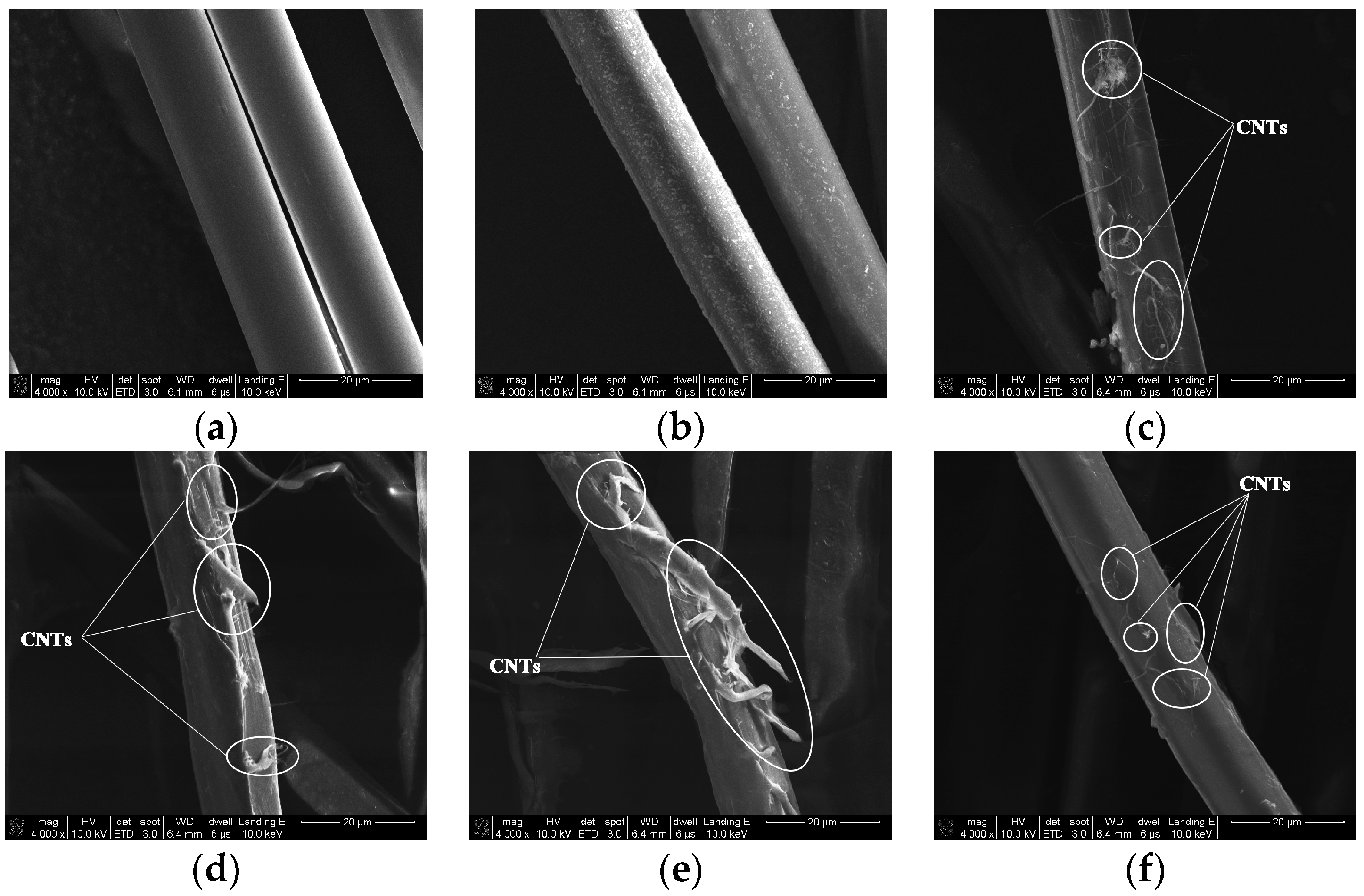 Polymers 11 01231 g003a Polymers 11 01231 g003a