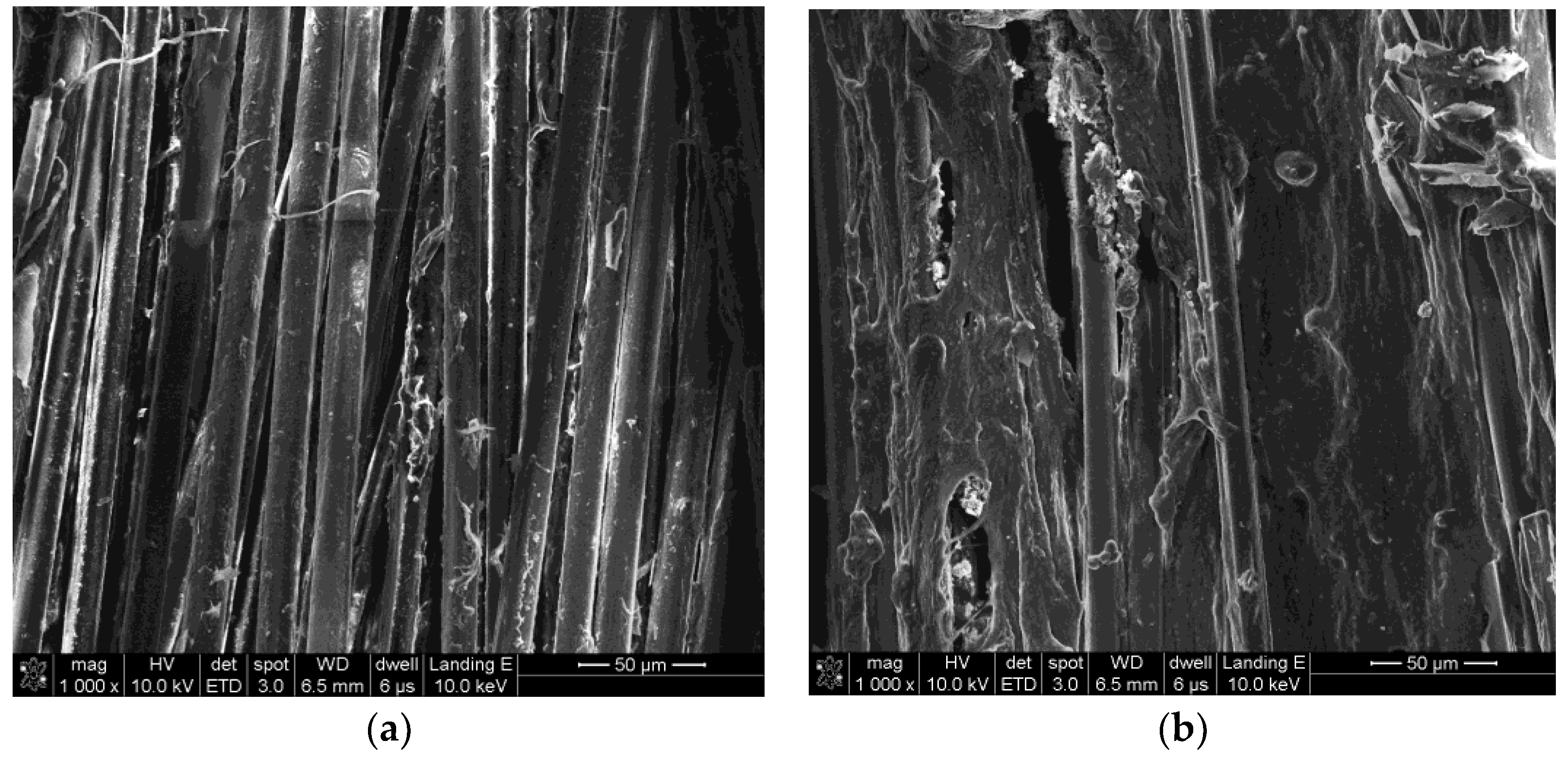 Polymers 11 01231 g009a Polymers 11 01231 g009a