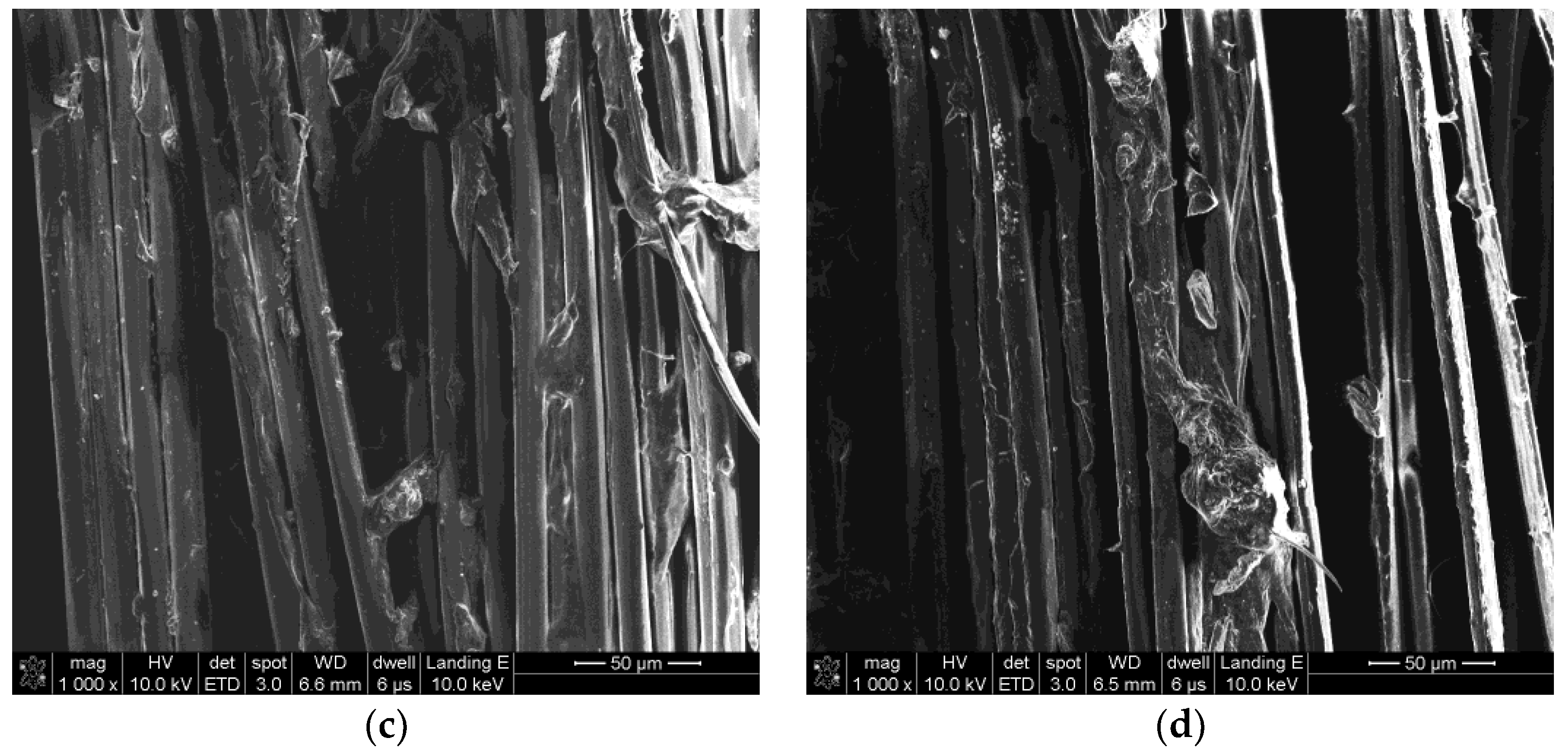 Polymers 11 01231 g009b Polymers 11 01231 g009b