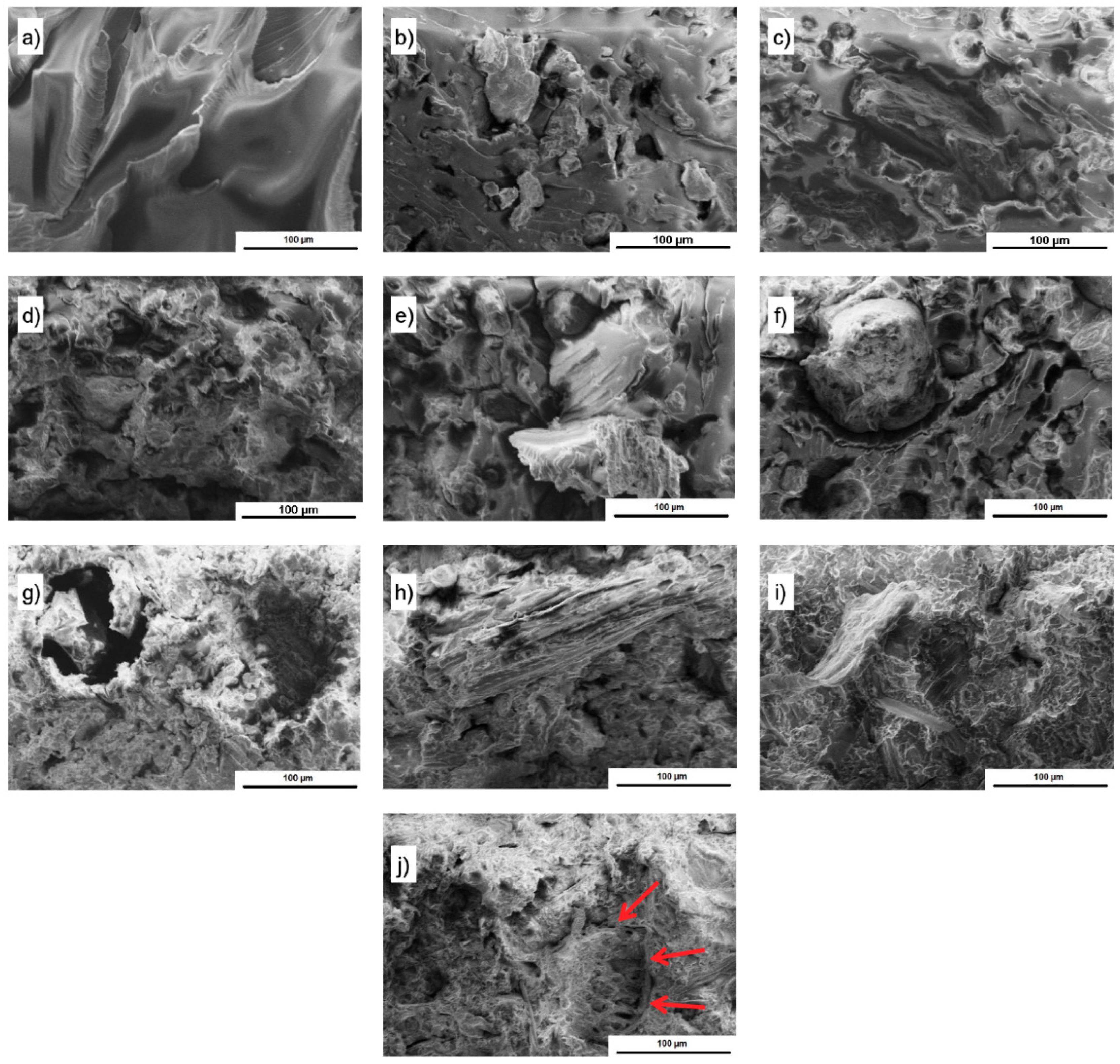 Polymers 11 01234 g004 Polymers 11 01234 g004