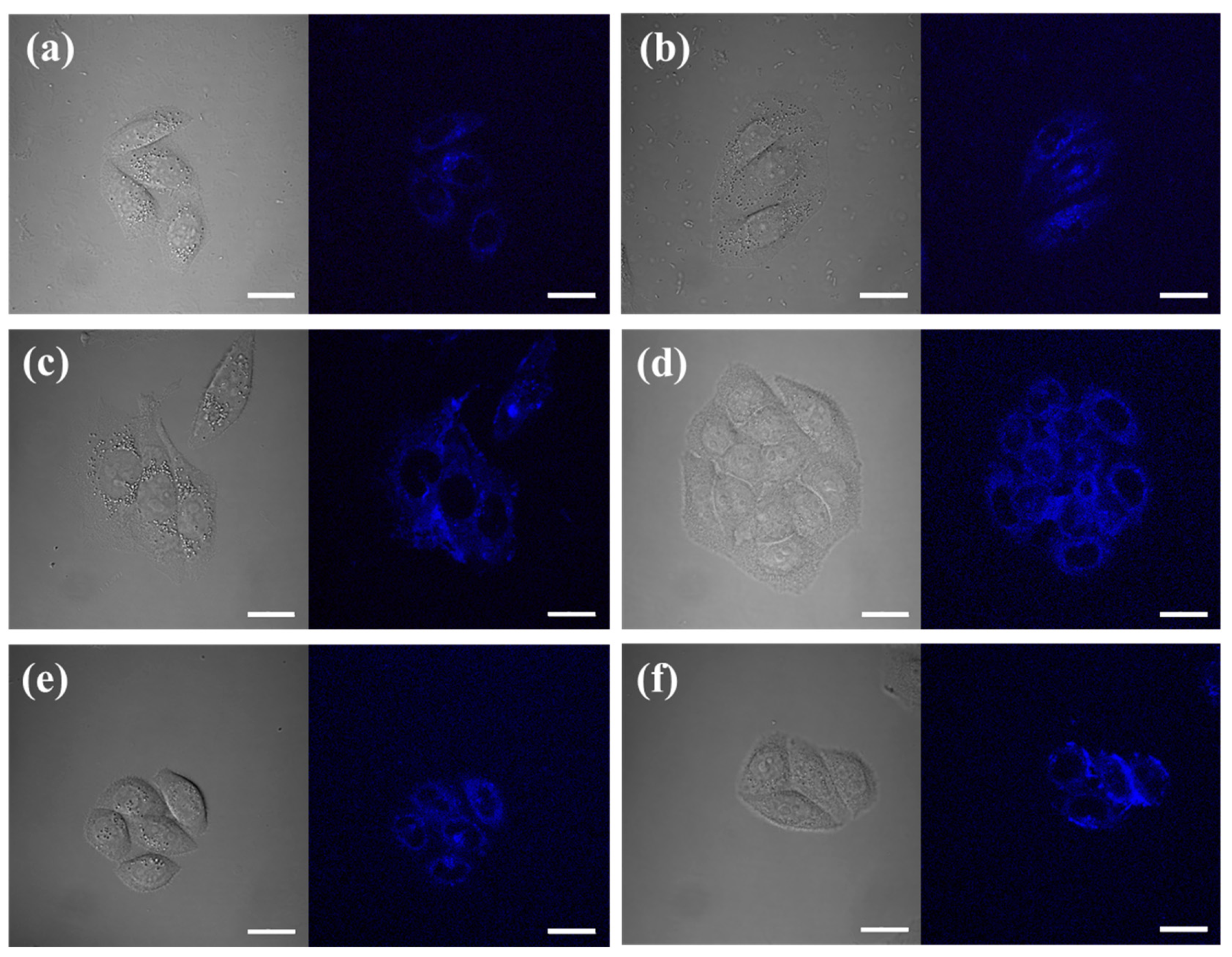 Polymers 11 01235 g004 550